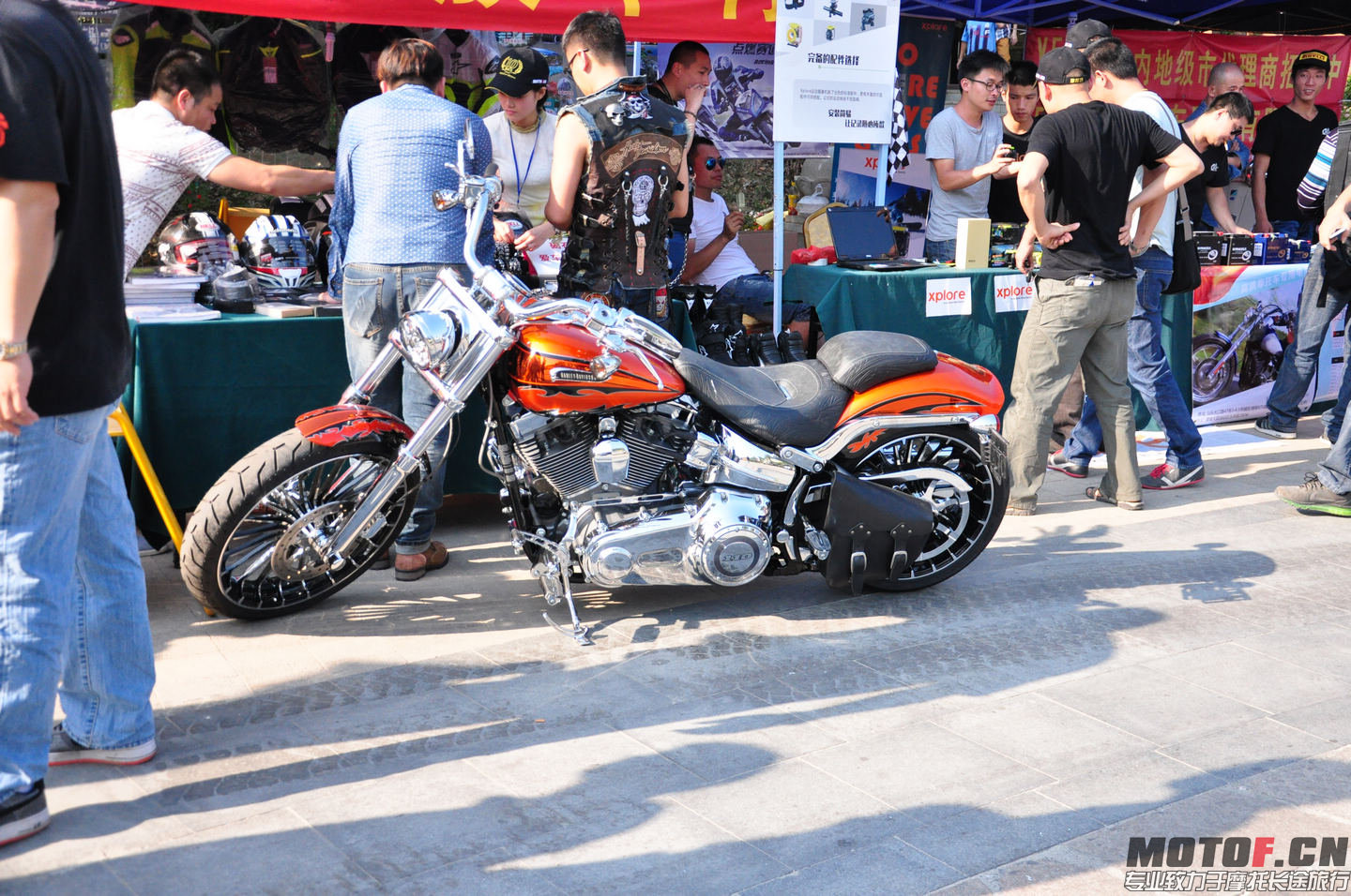 DSC_0314.jpg