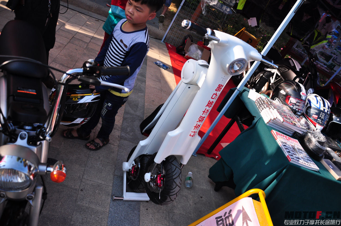 DSC_0315.jpg