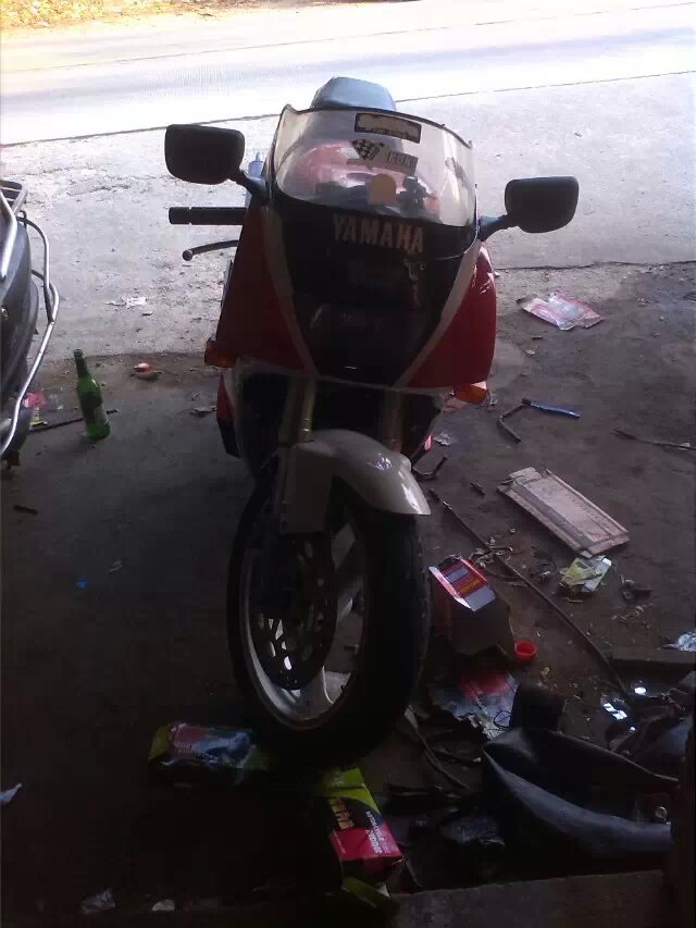 TZR7.jpg