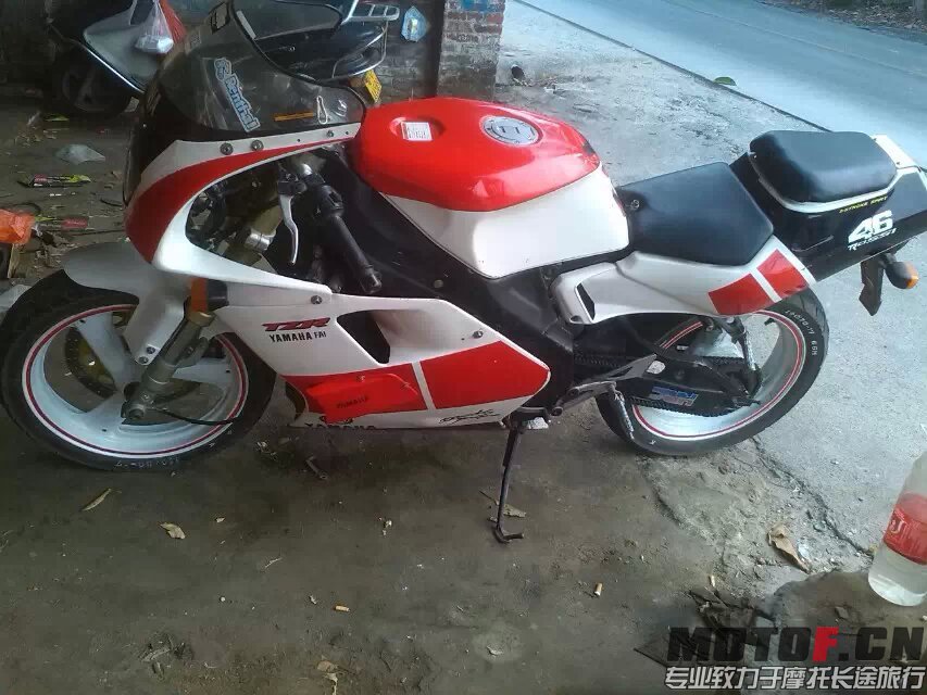 TZR6.jpg