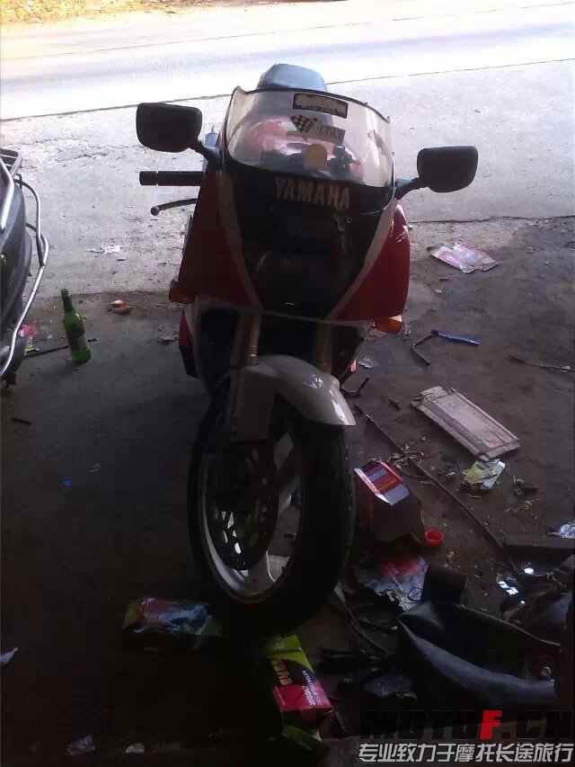 TZR7.jpg