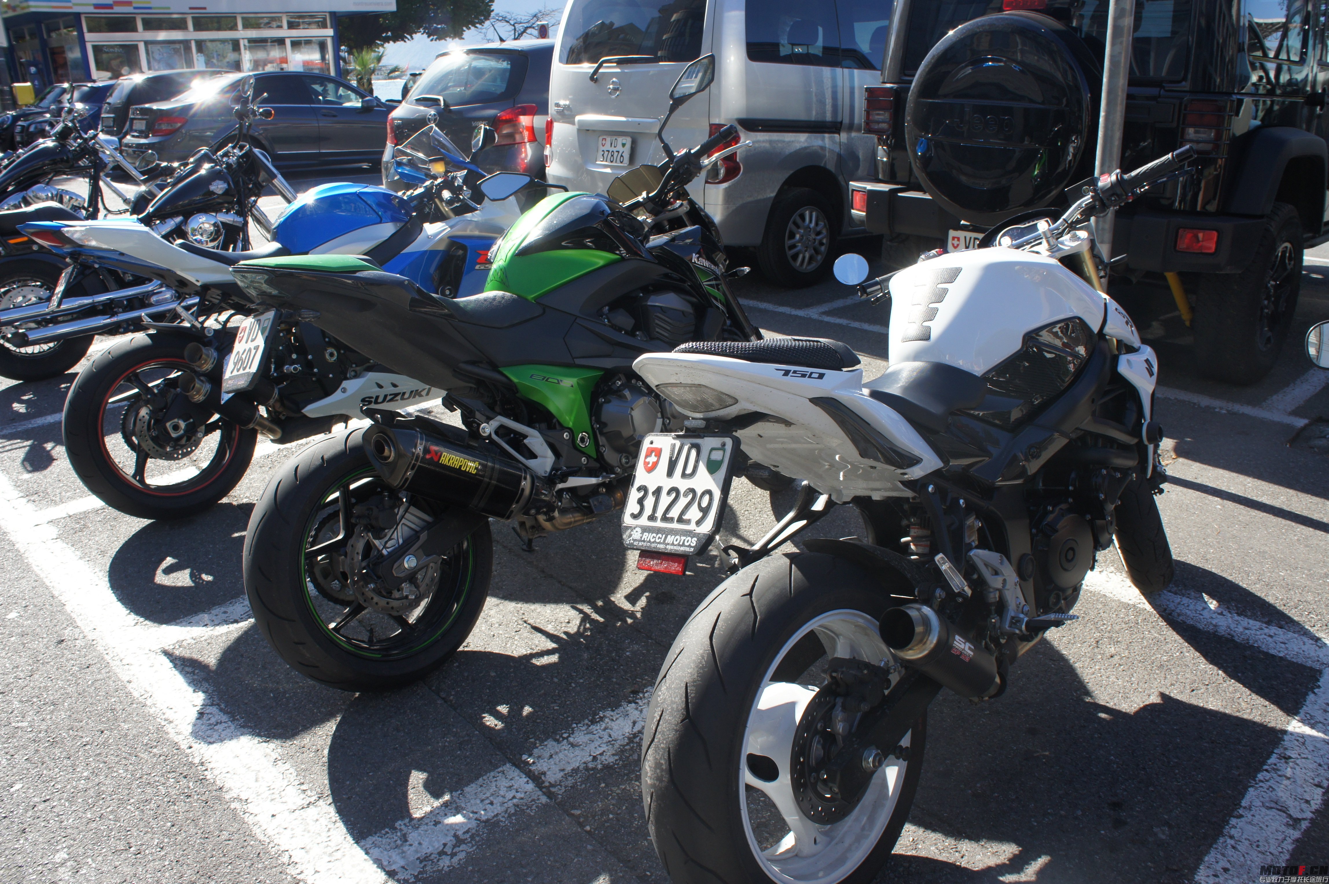 DSC06600.jpg