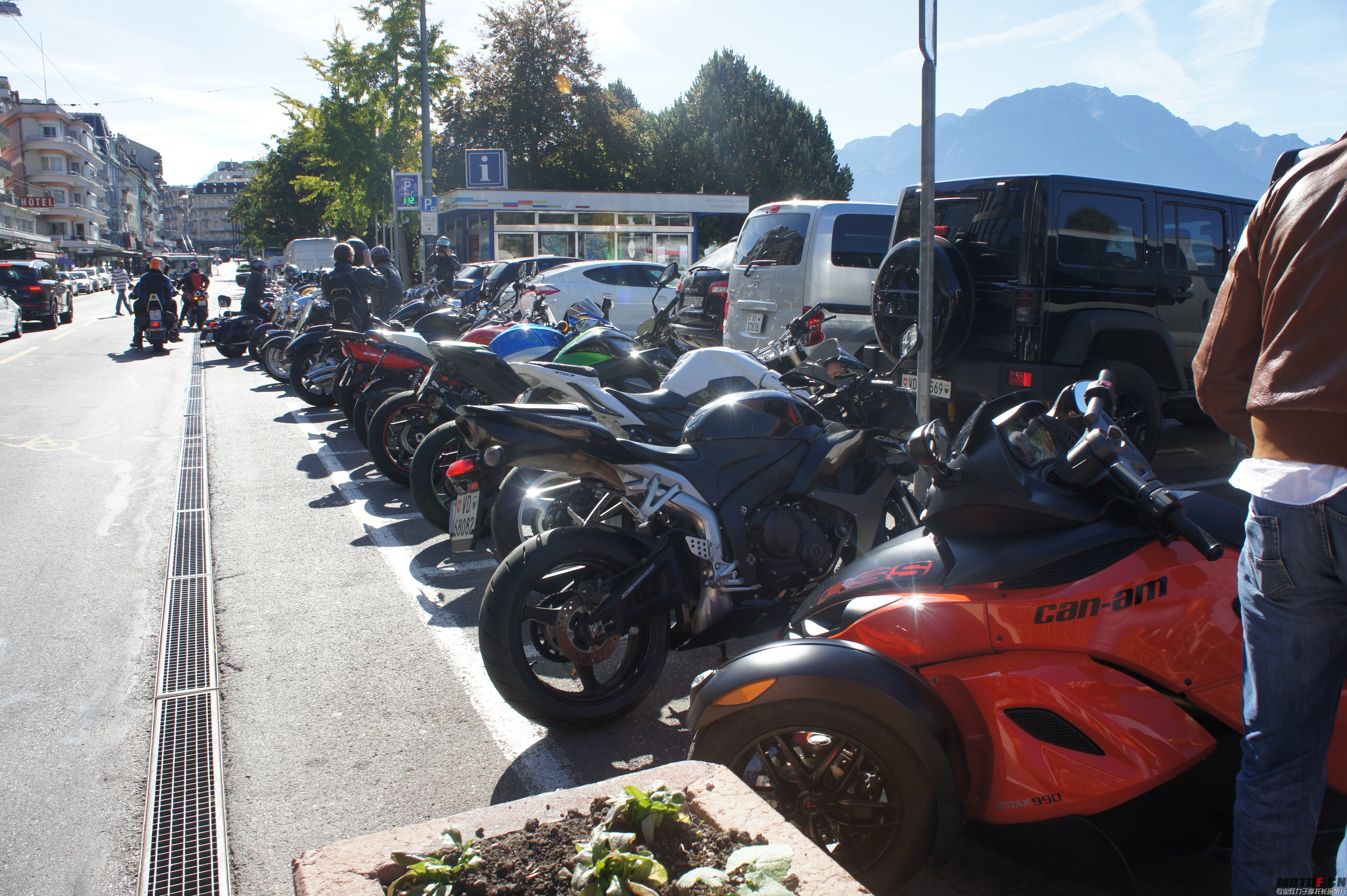 DSC06642.jpg