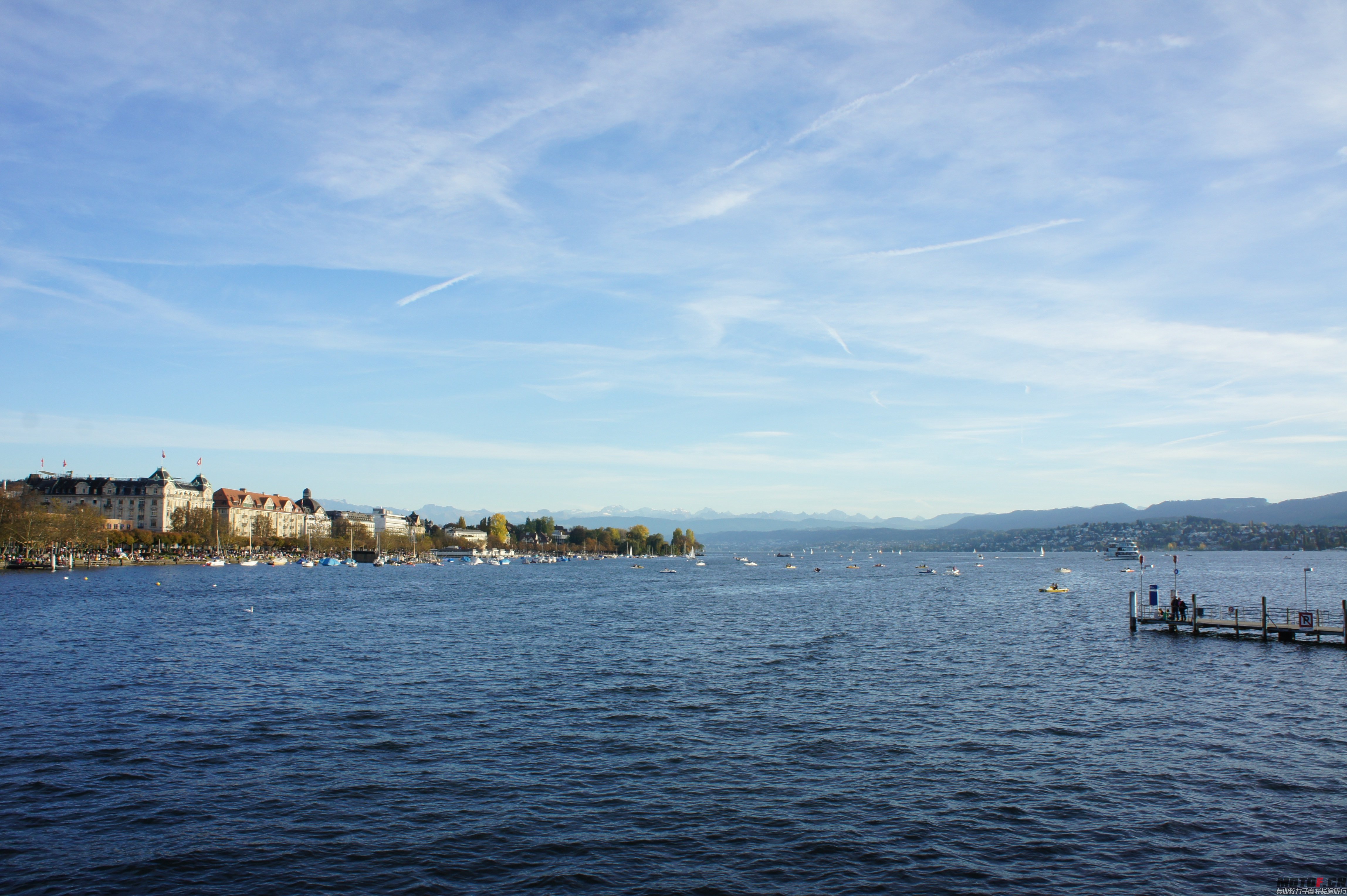 DSC06738.jpg