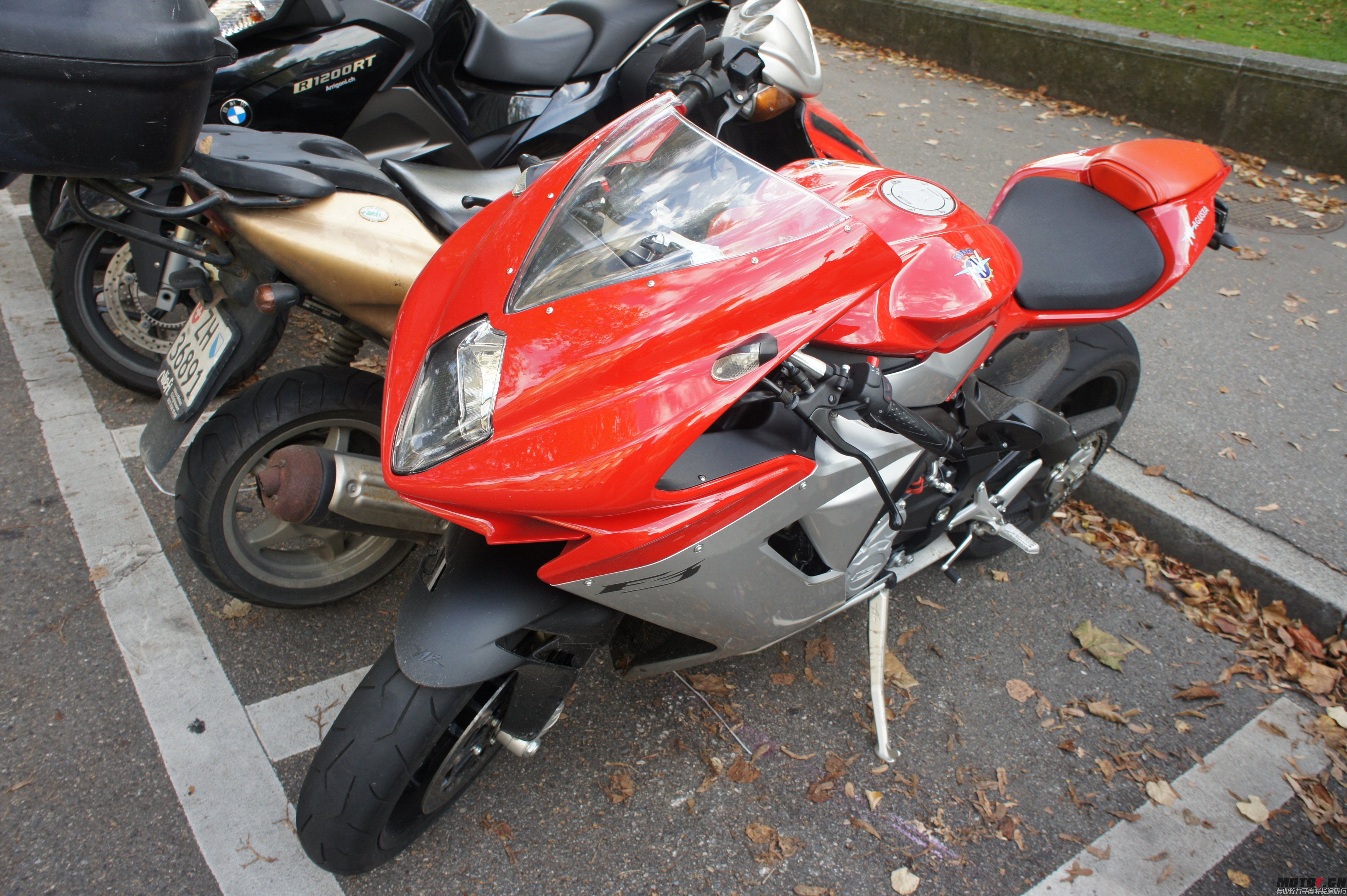 DSC06828.jpg