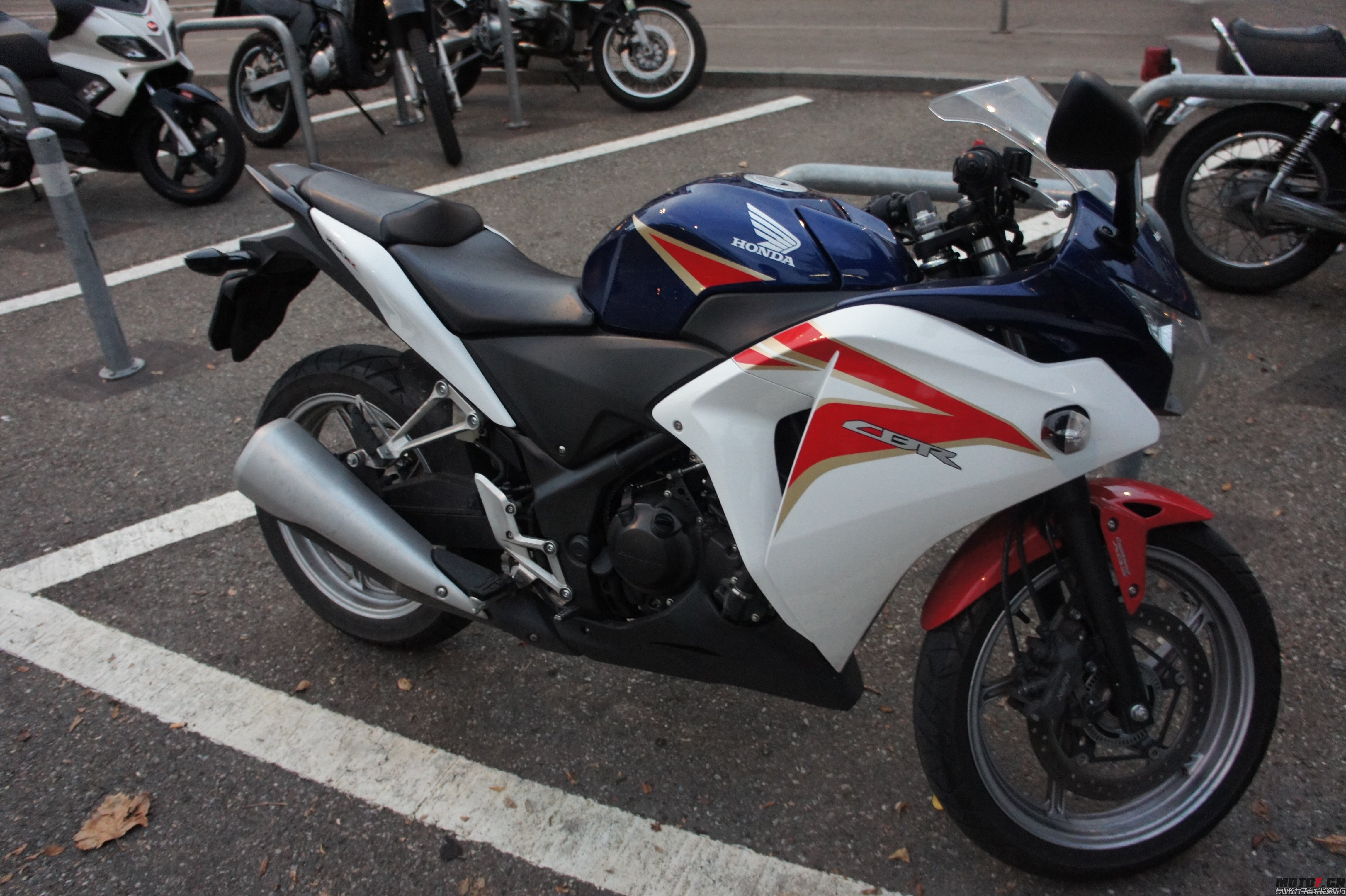 DSC06916.jpg