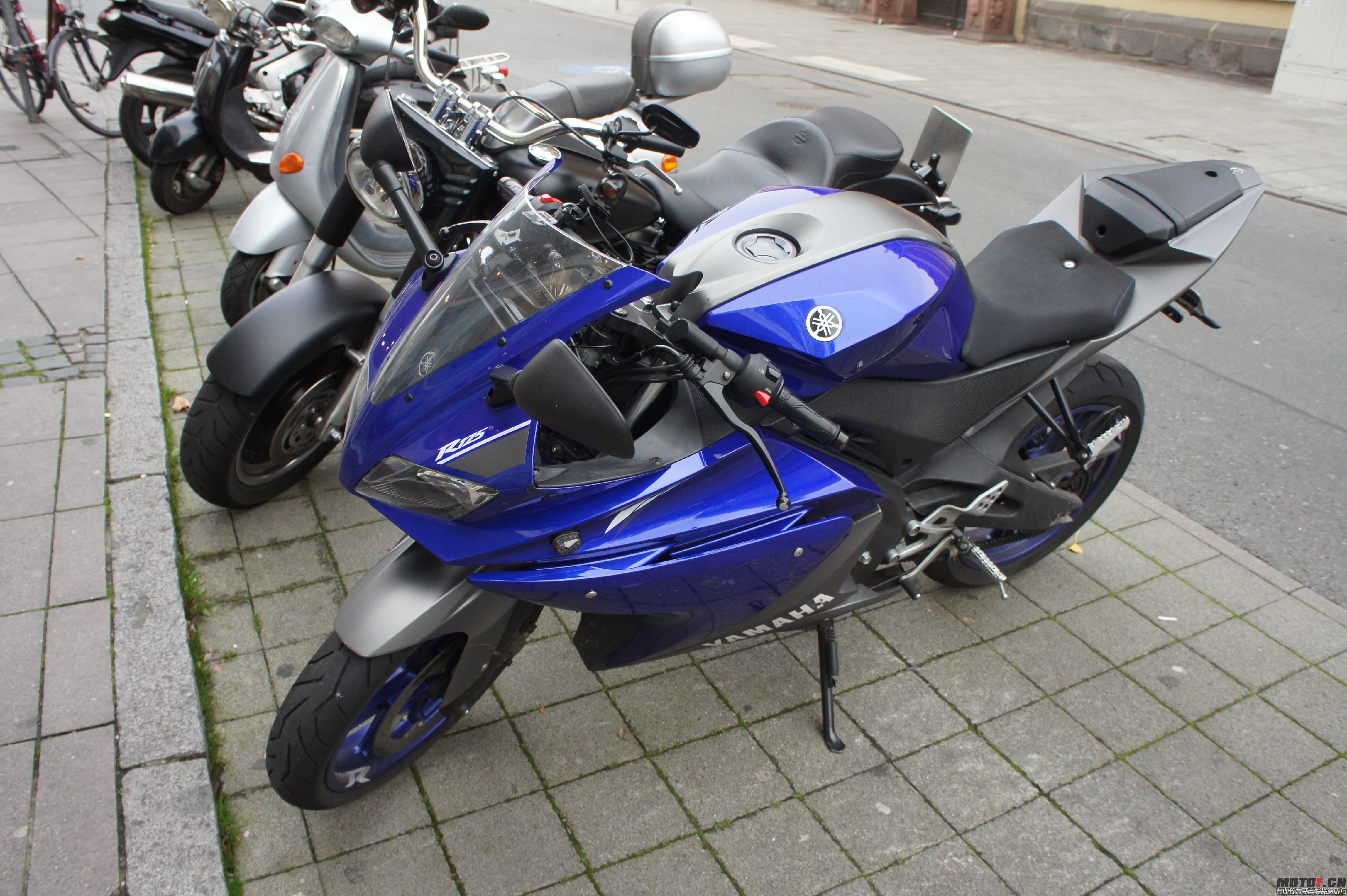 DSC07107.jpg