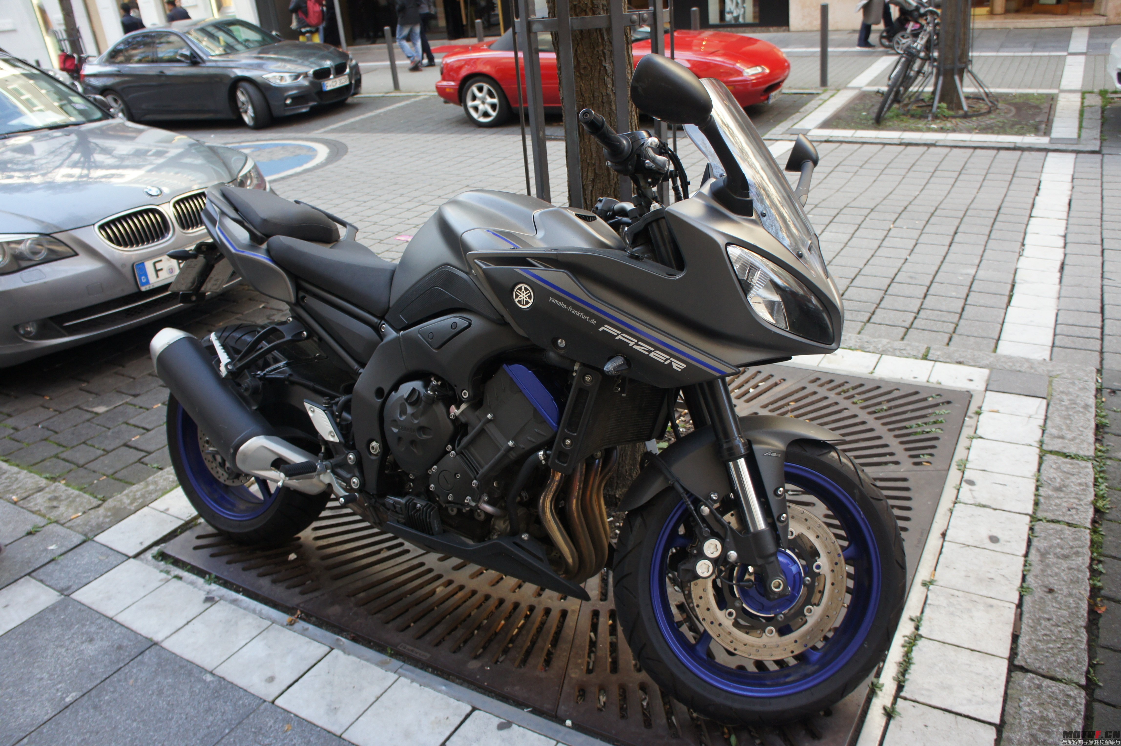 DSC07171.jpg