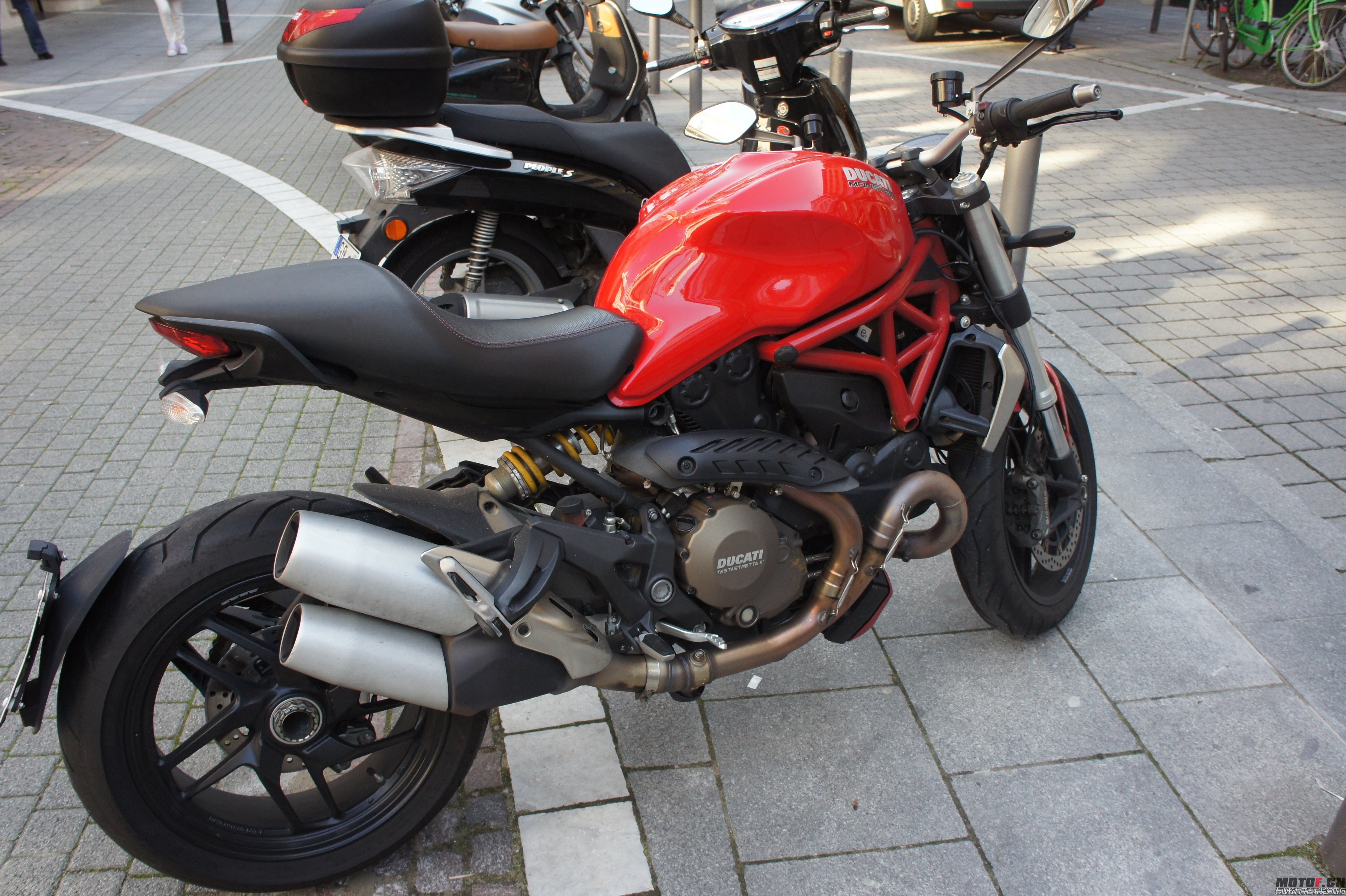 DSC07175.jpg