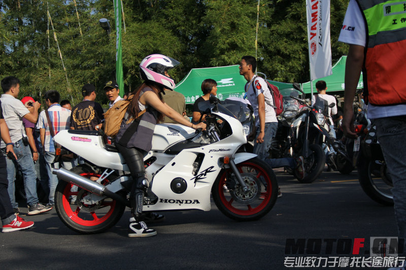 IMG_2928.jpg