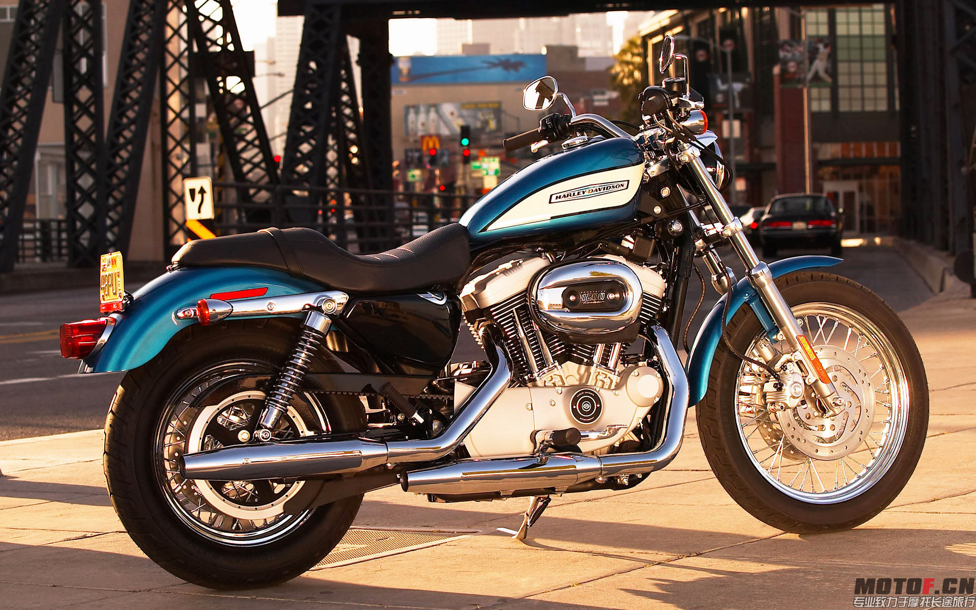 Harley31[1].jpg