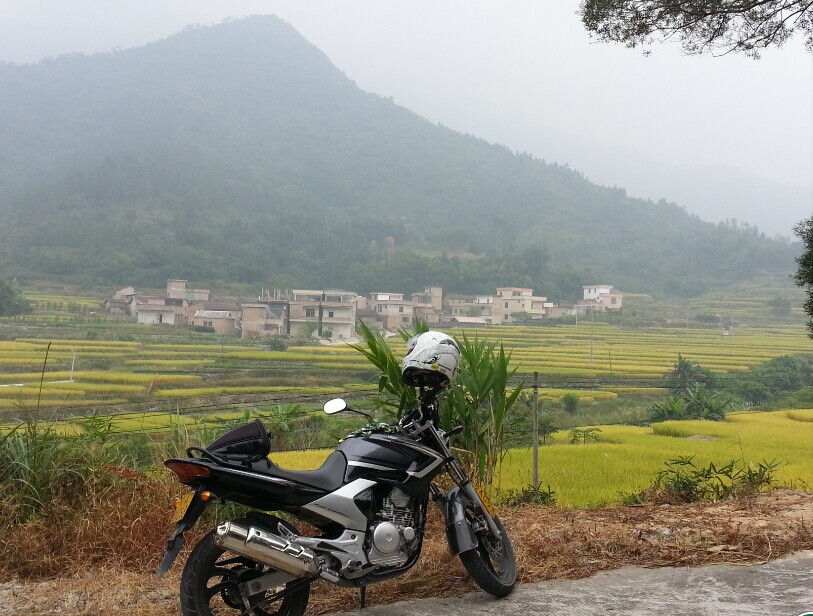 20141025_121243.jpg