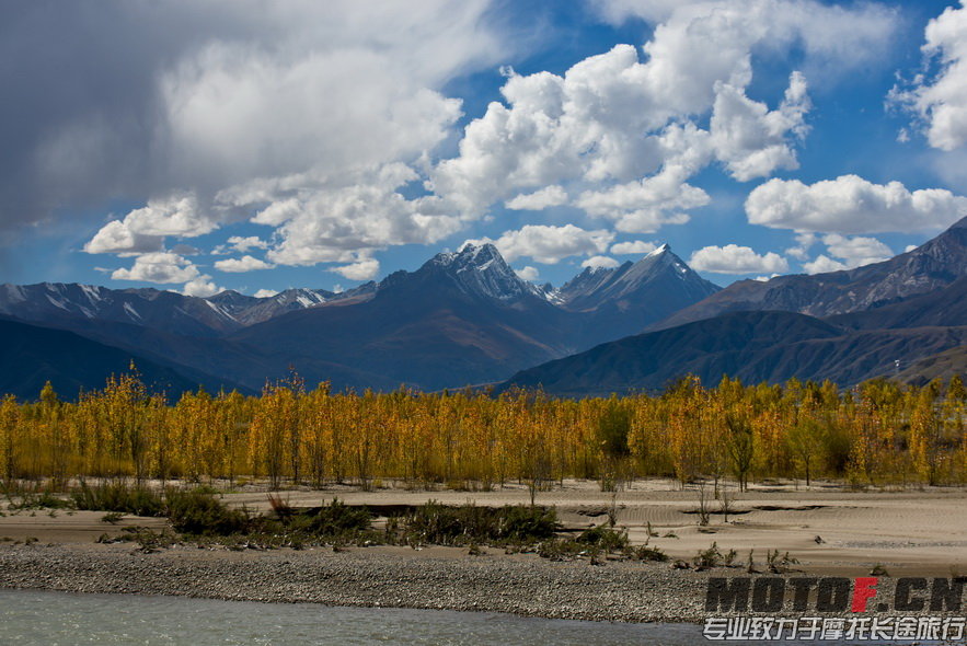 _DSC7872.jpg