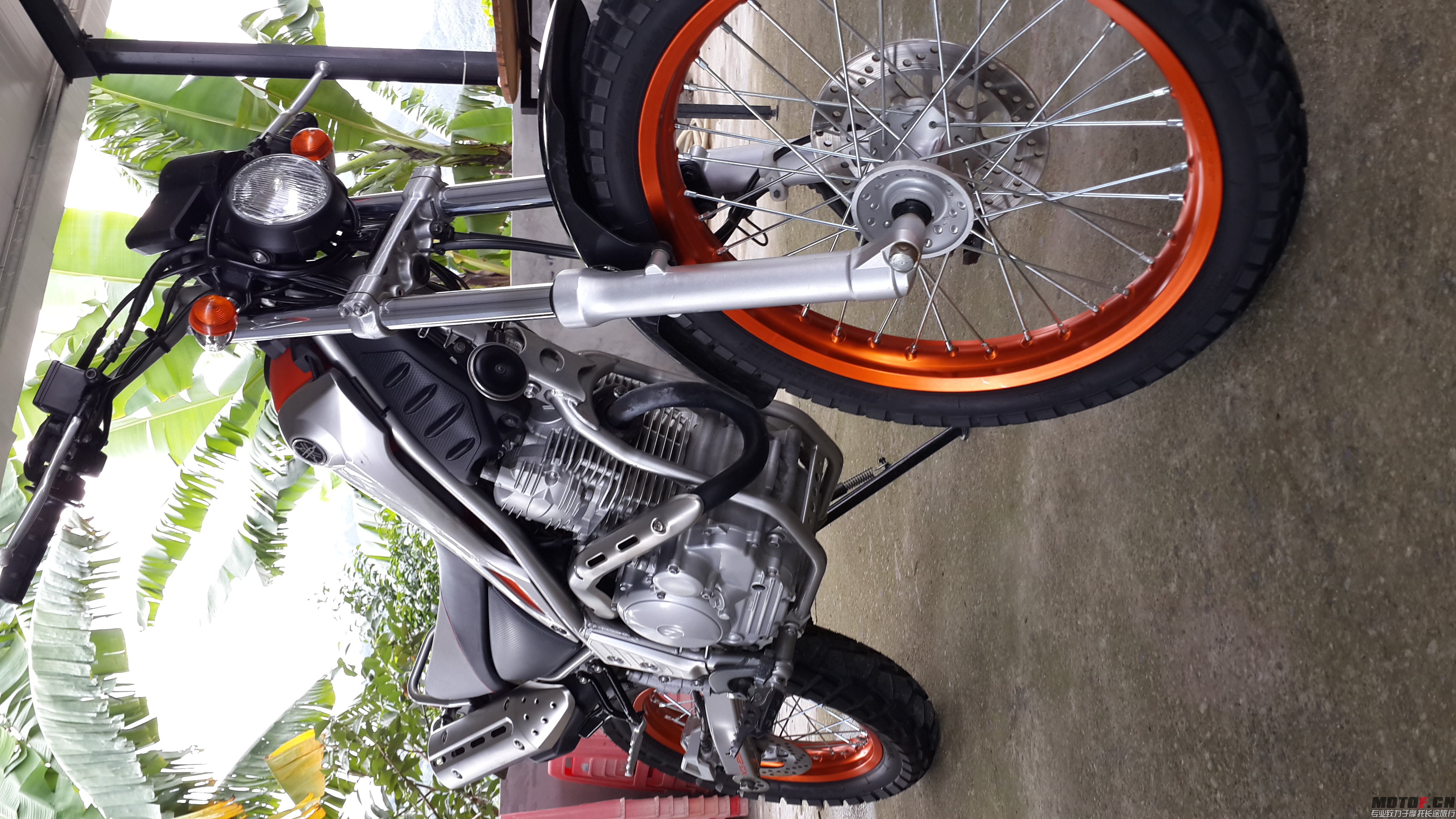 20141030_135621.jpg