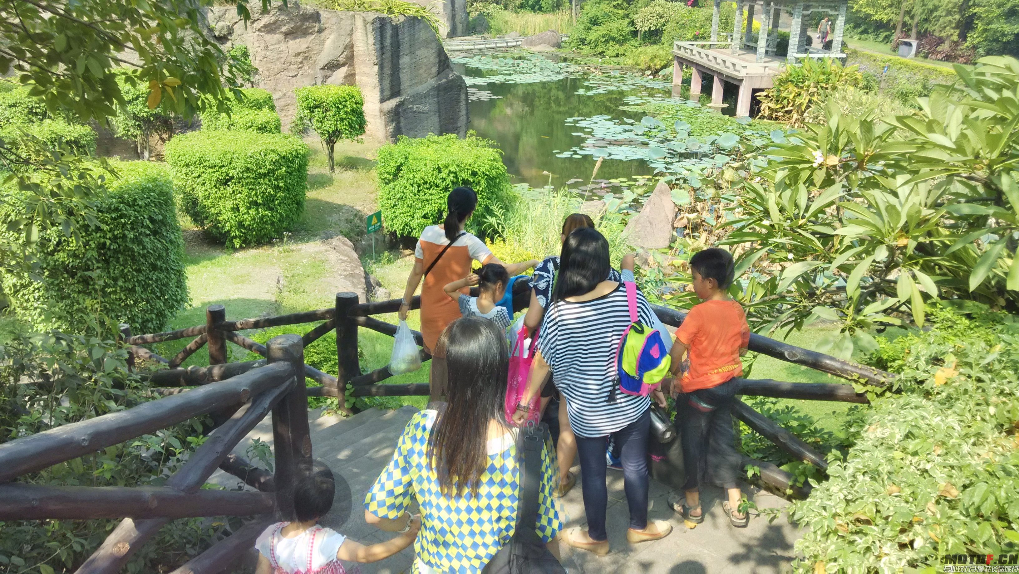 IMG_20141101_133913_HDR.jpg