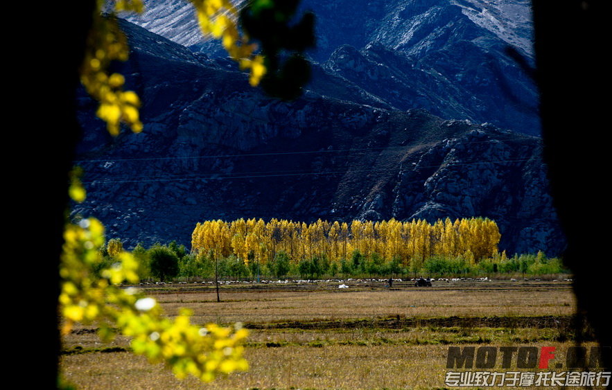 _DSC8767.jpg