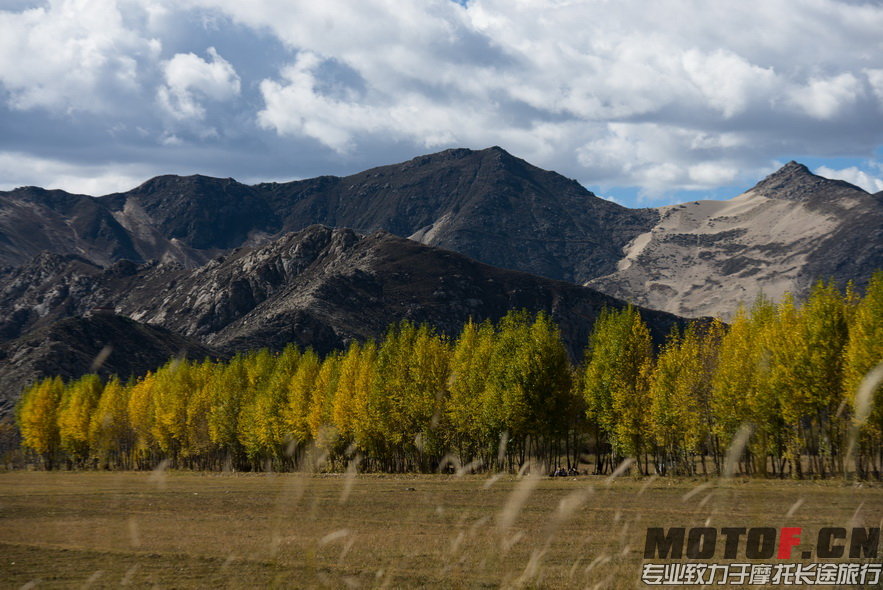 _DSC8766.jpg