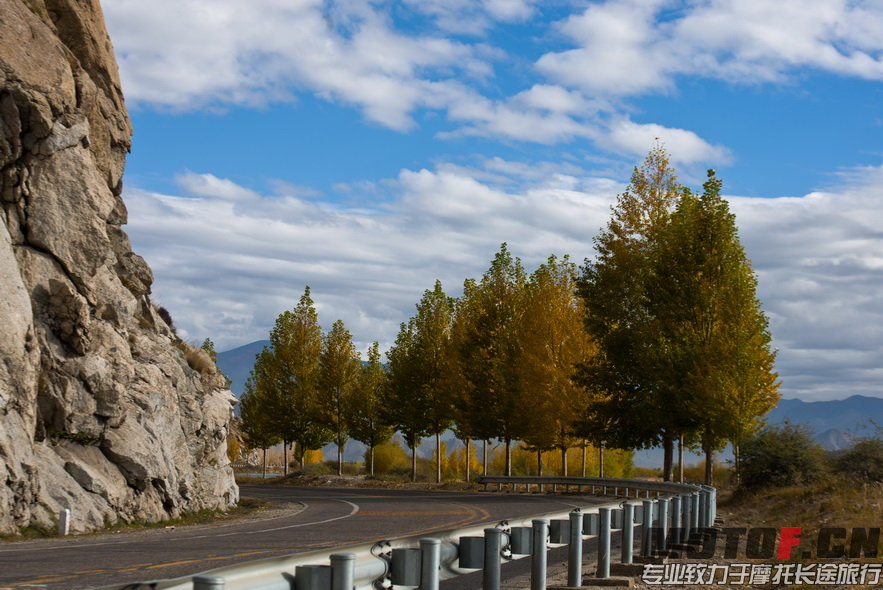 _DSC8748.jpg