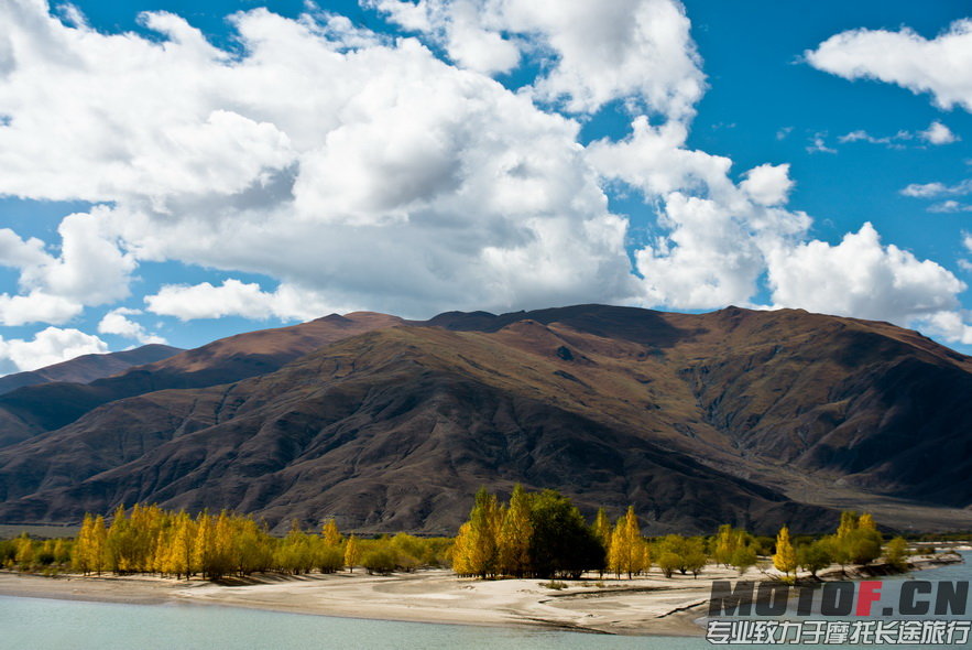_DSC8790.jpg
