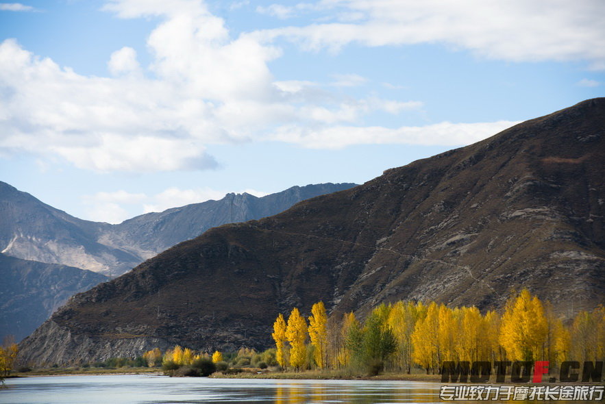 _DSC8747.jpg