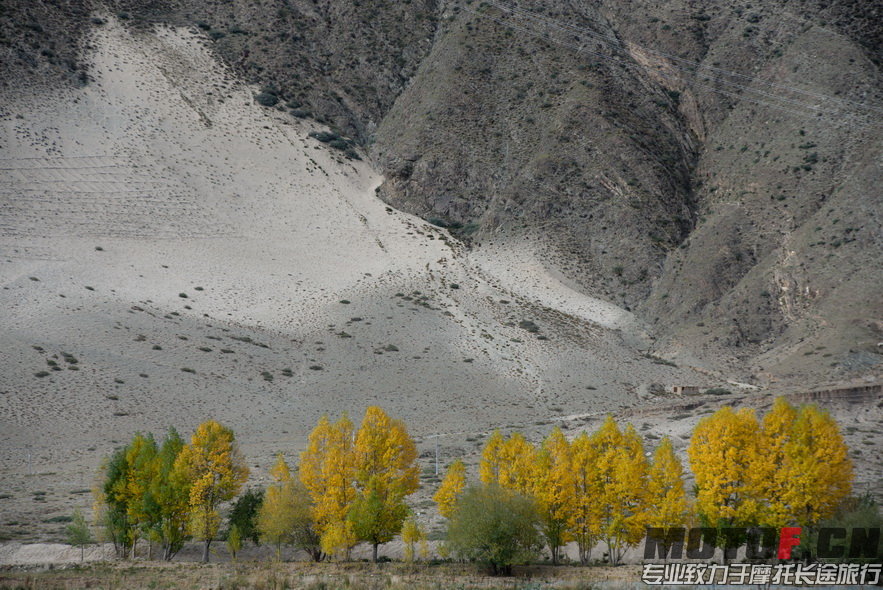 _DSC8760.jpg