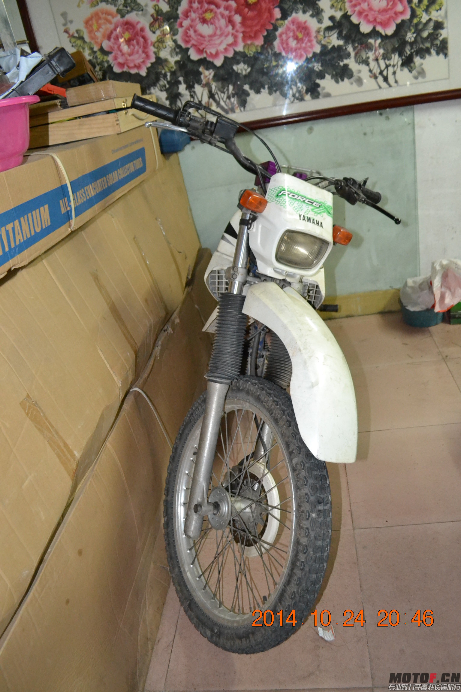 DSC_0580.JPG
