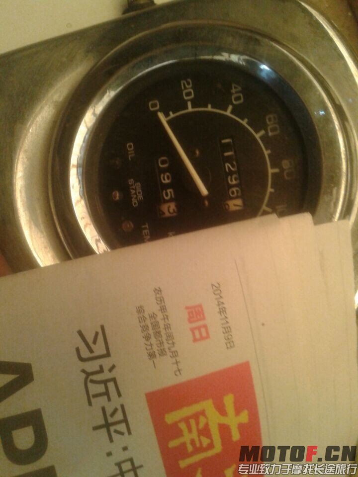 马格纳250