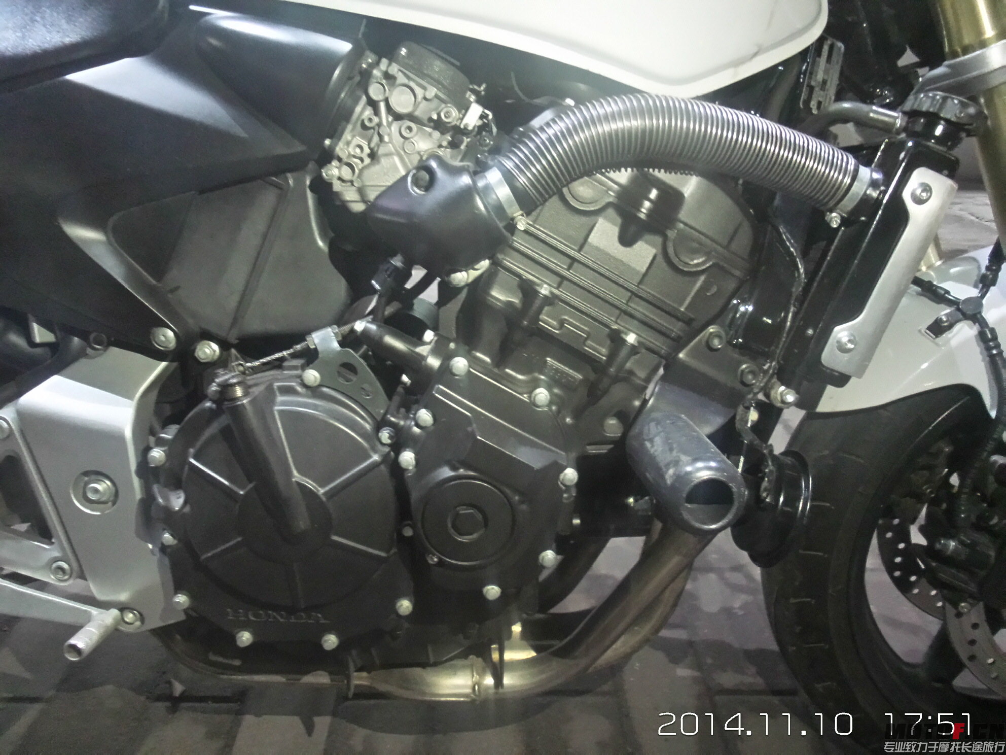 20141110_175121_LLS.jpg