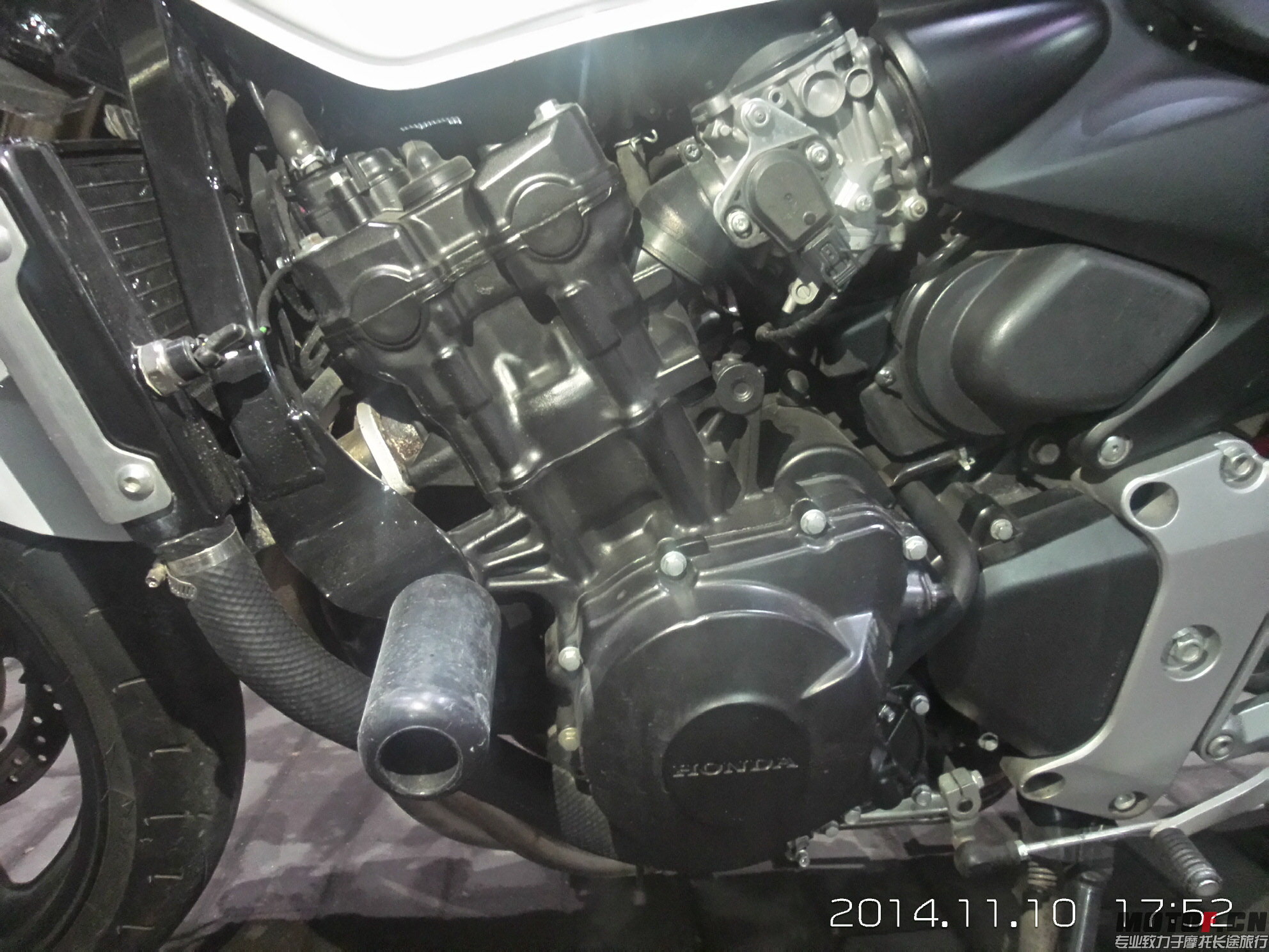 20141110_175211_LLS.jpg