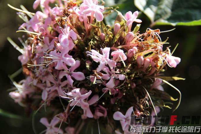 调整大小 IMG_0243.JPG