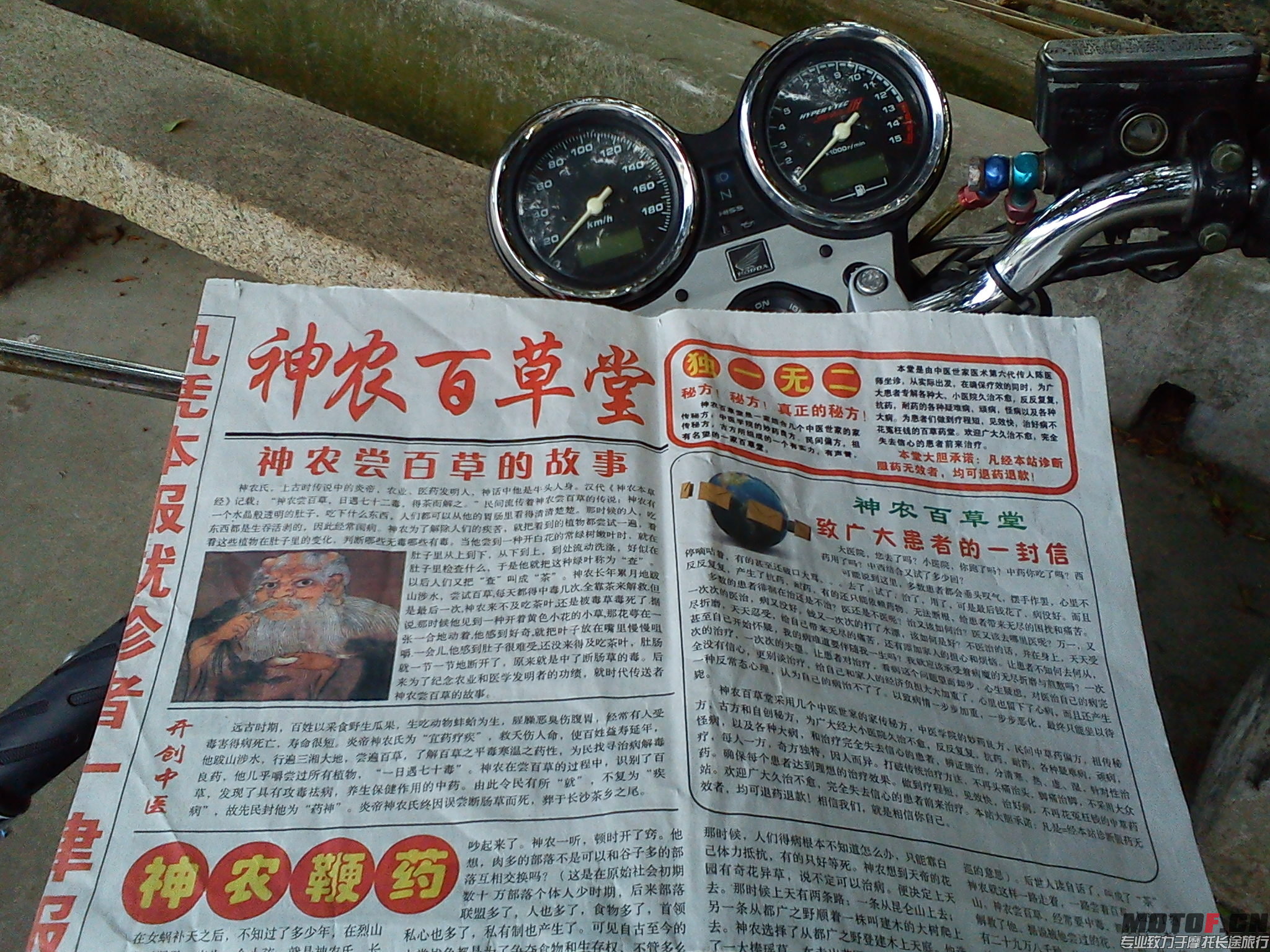 DSC00842.jpg