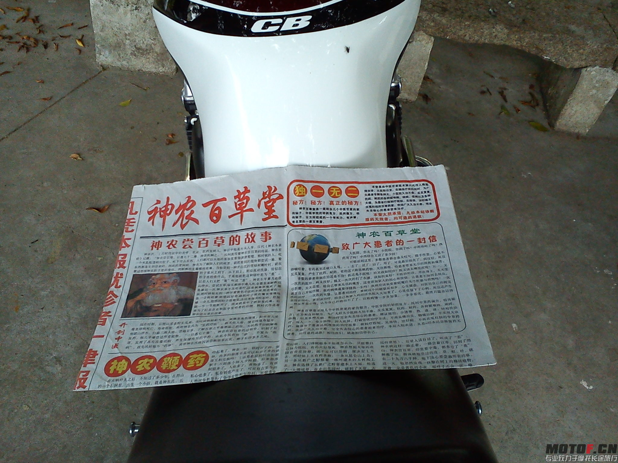 DSC00843.jpg