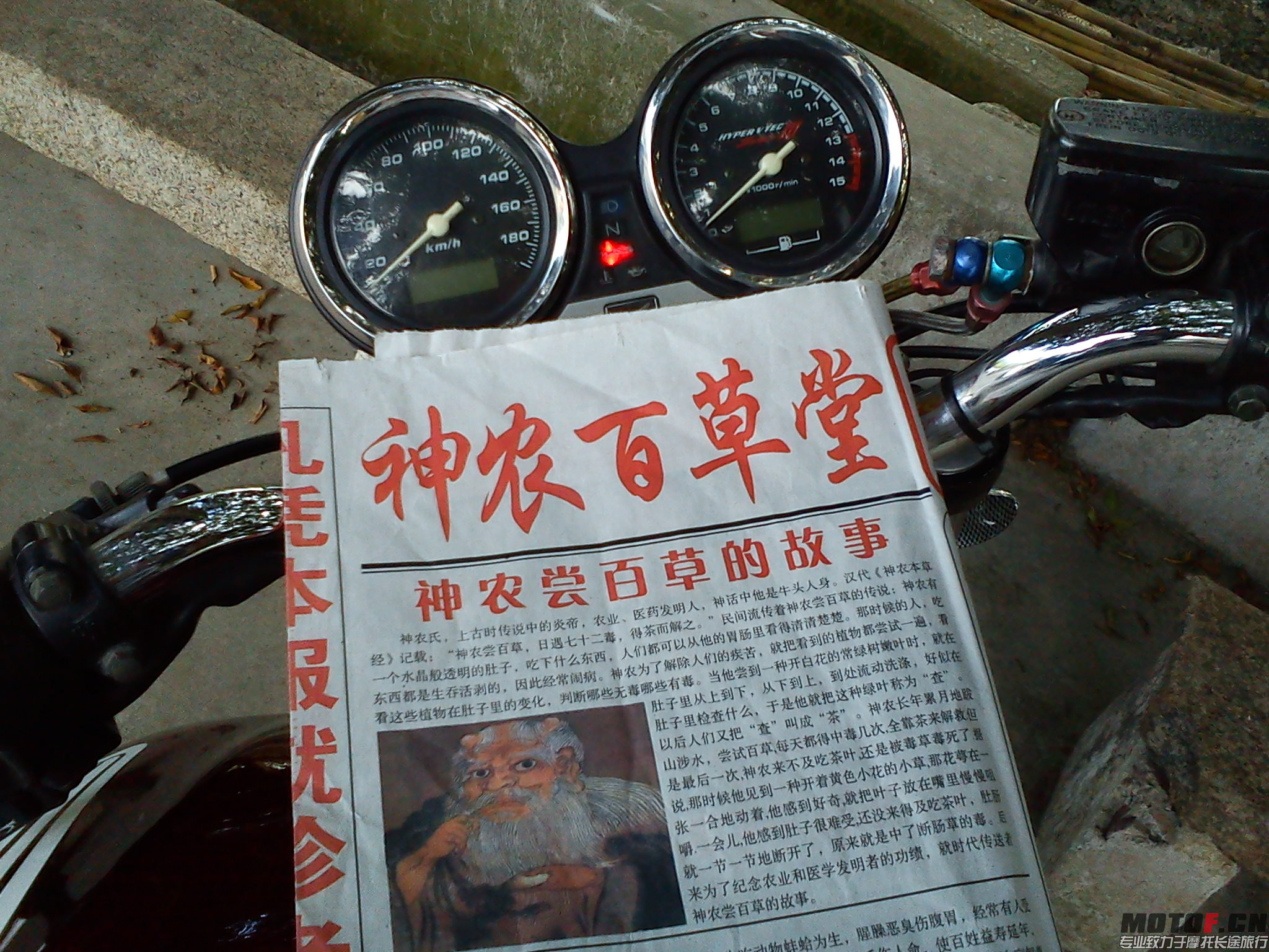 DSC00845.jpg