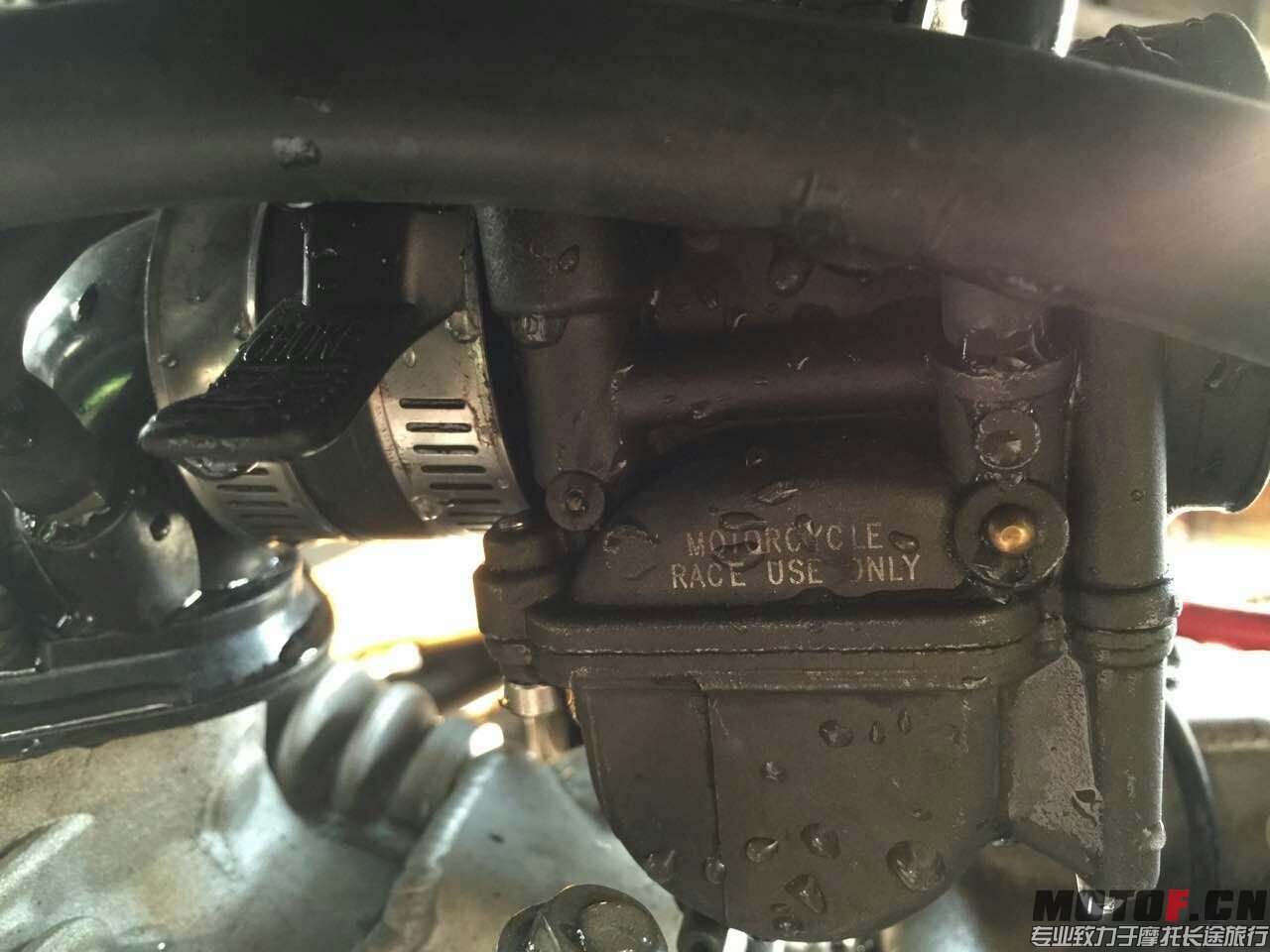 mmexport1416413885704.jpg