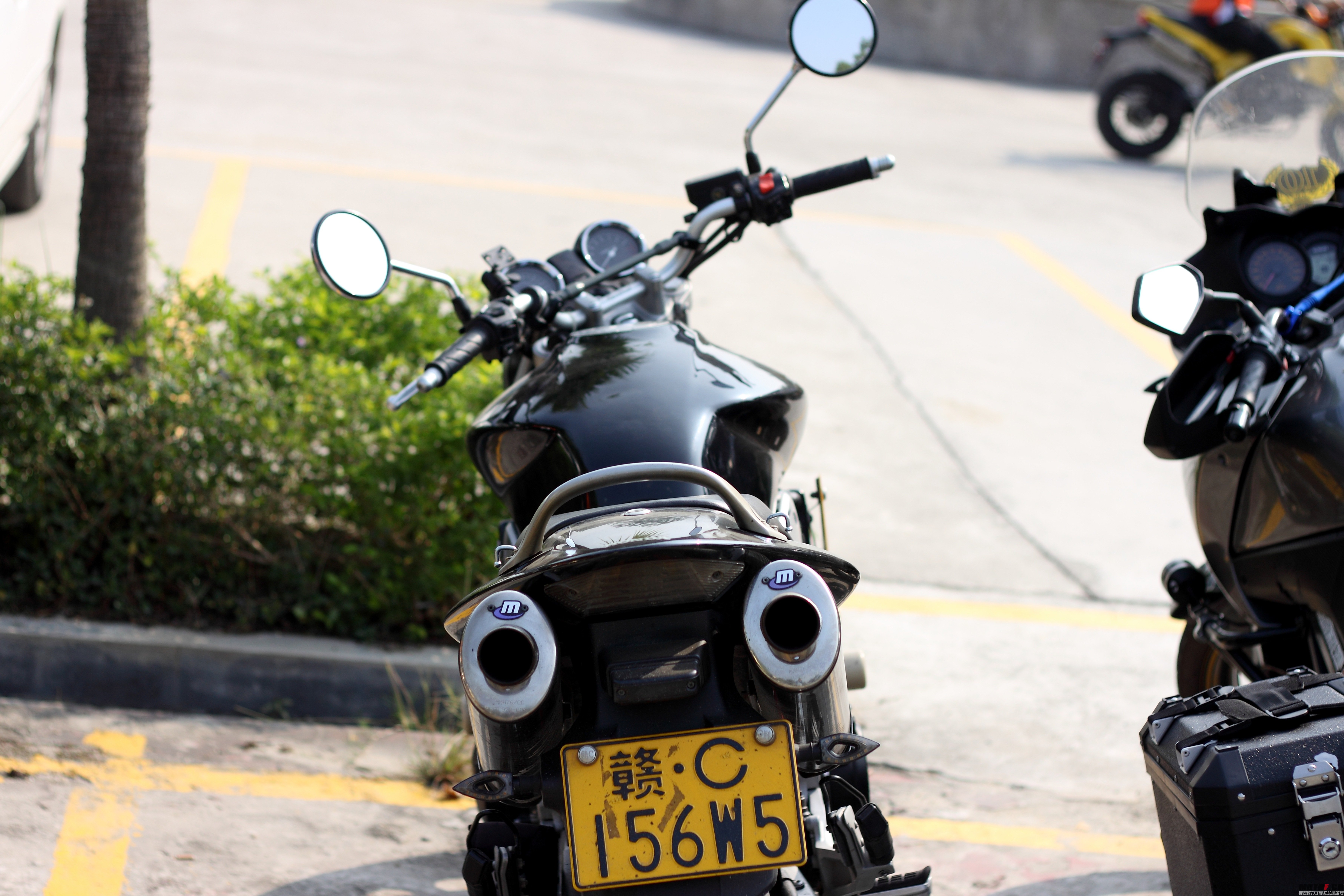 _MG_8020.JPG