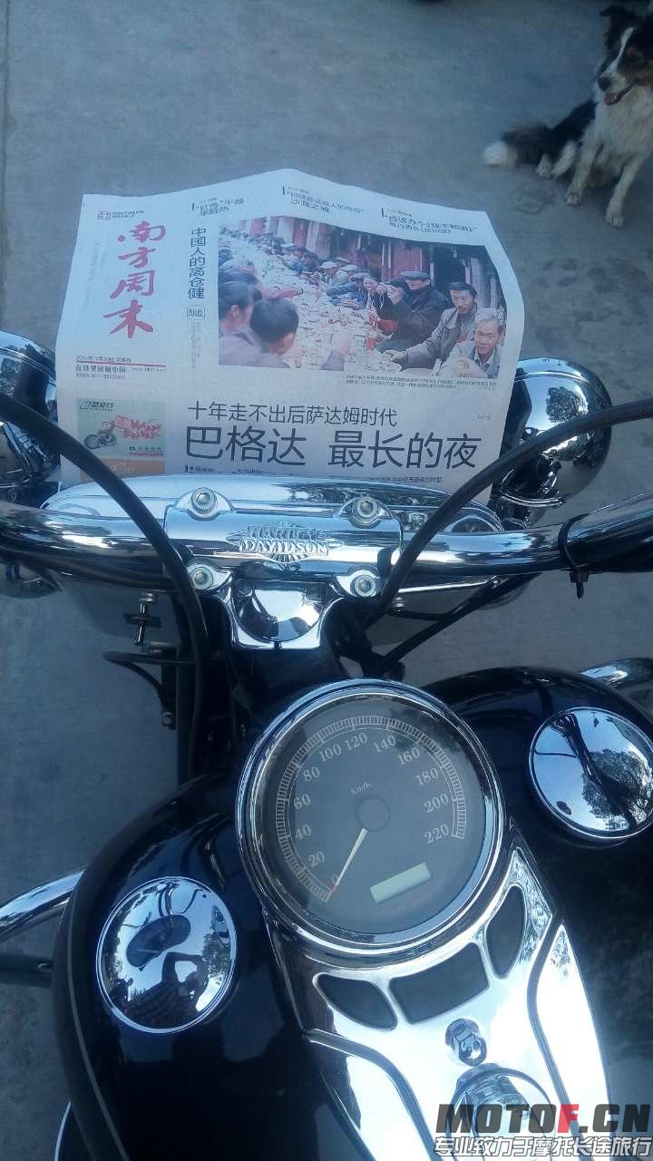 照片 001.jpg