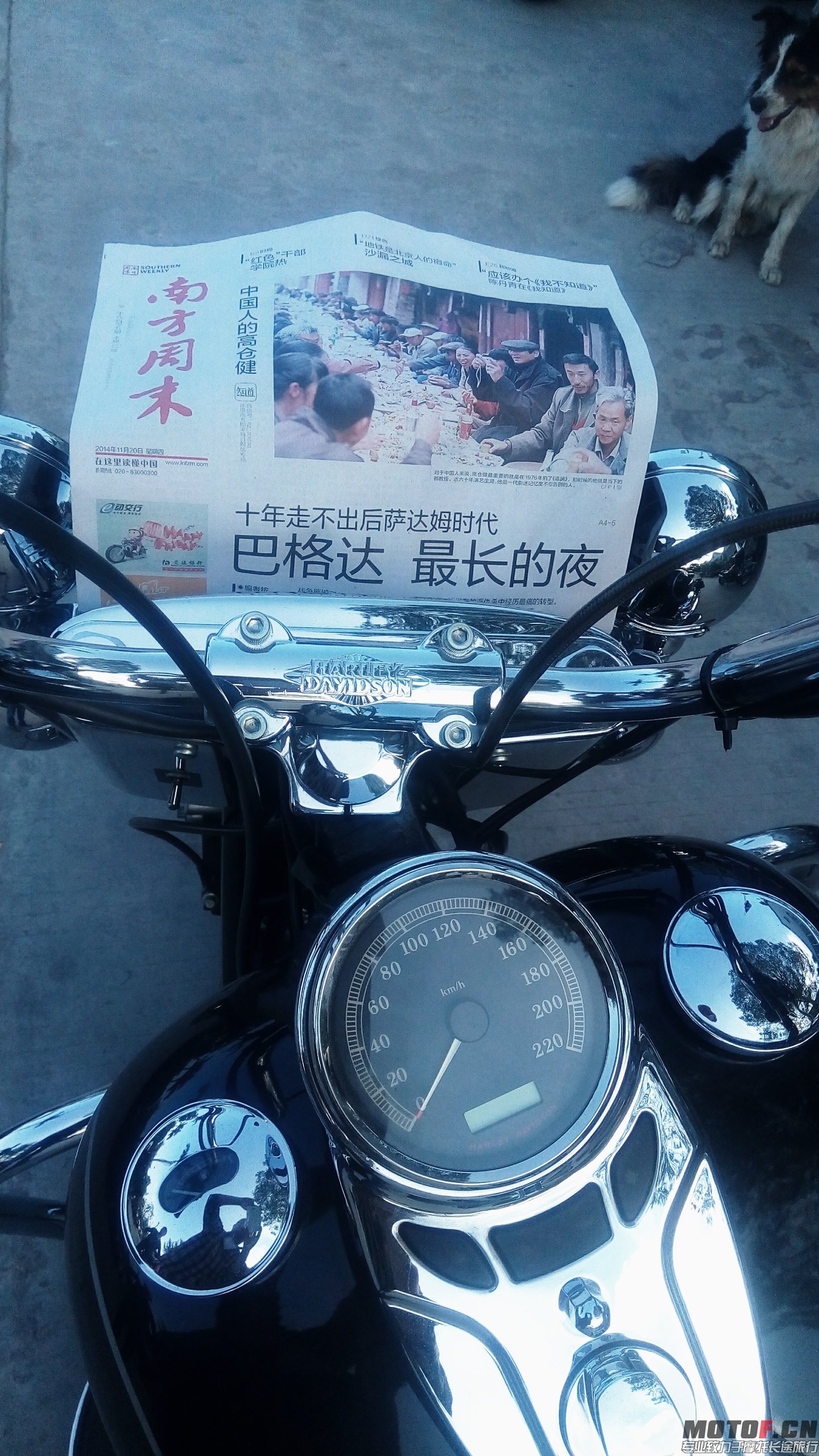 照片 007.jpg