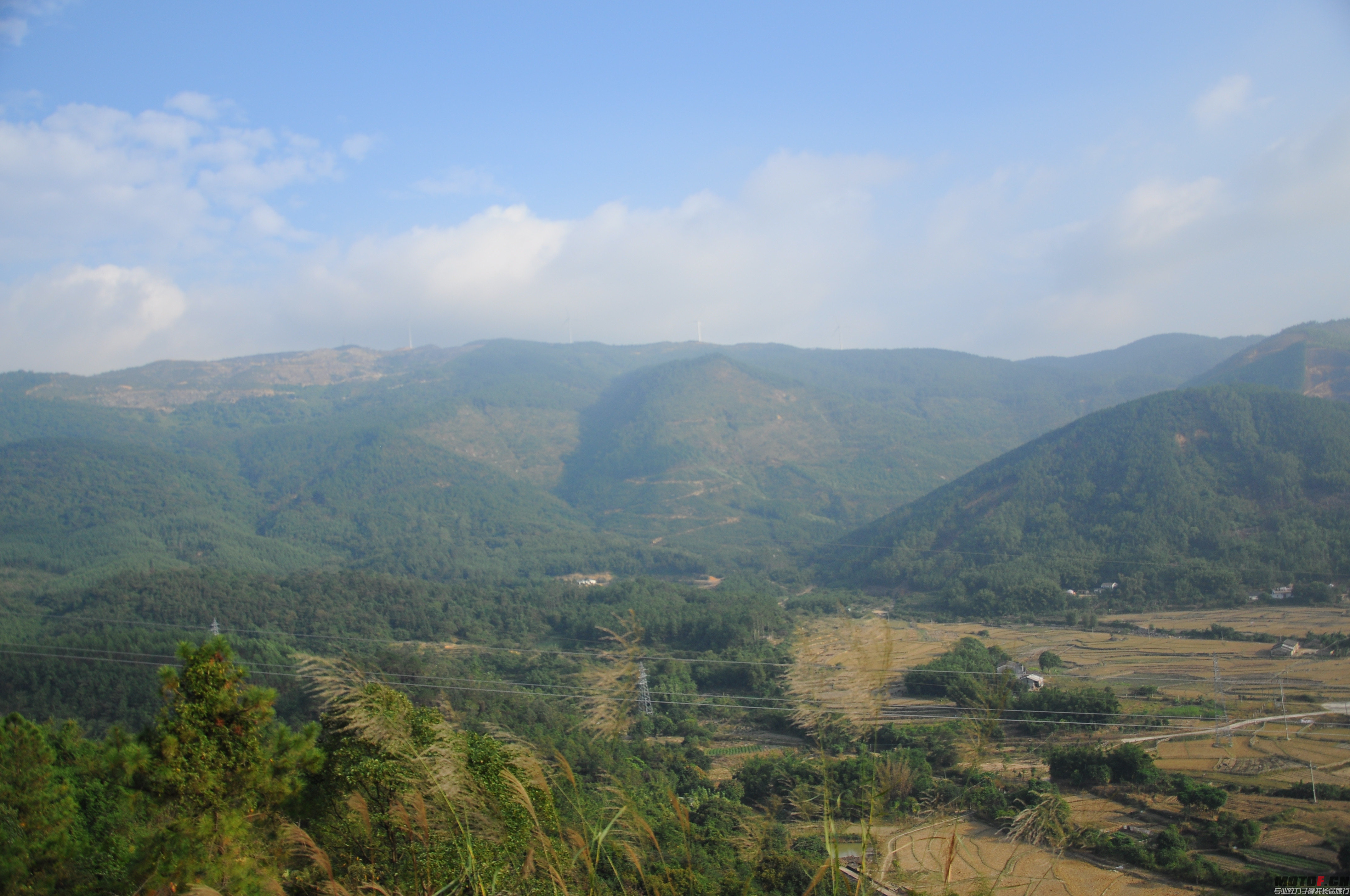 DSC_0143.jpg
