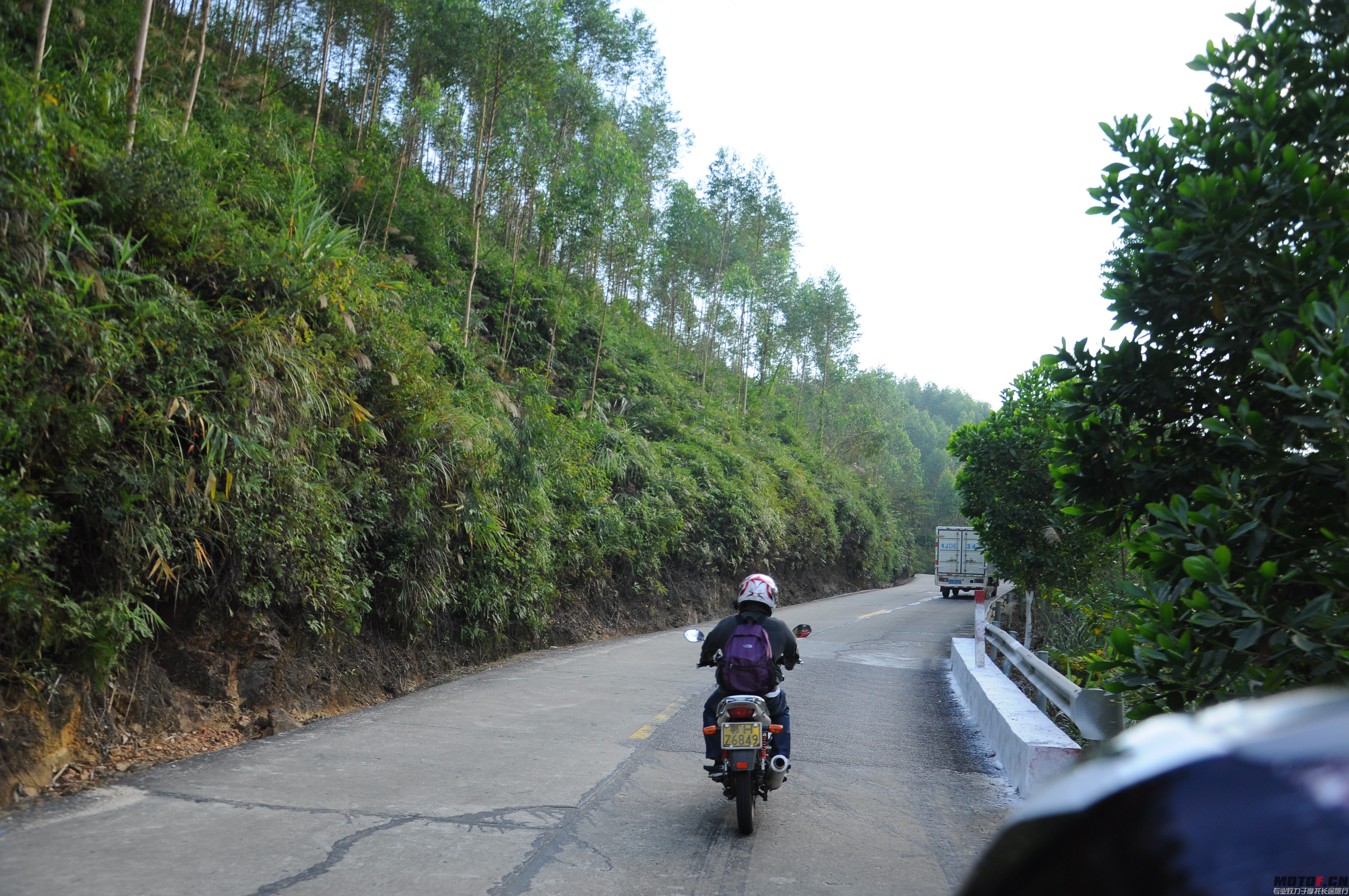 DSC_0130.jpg