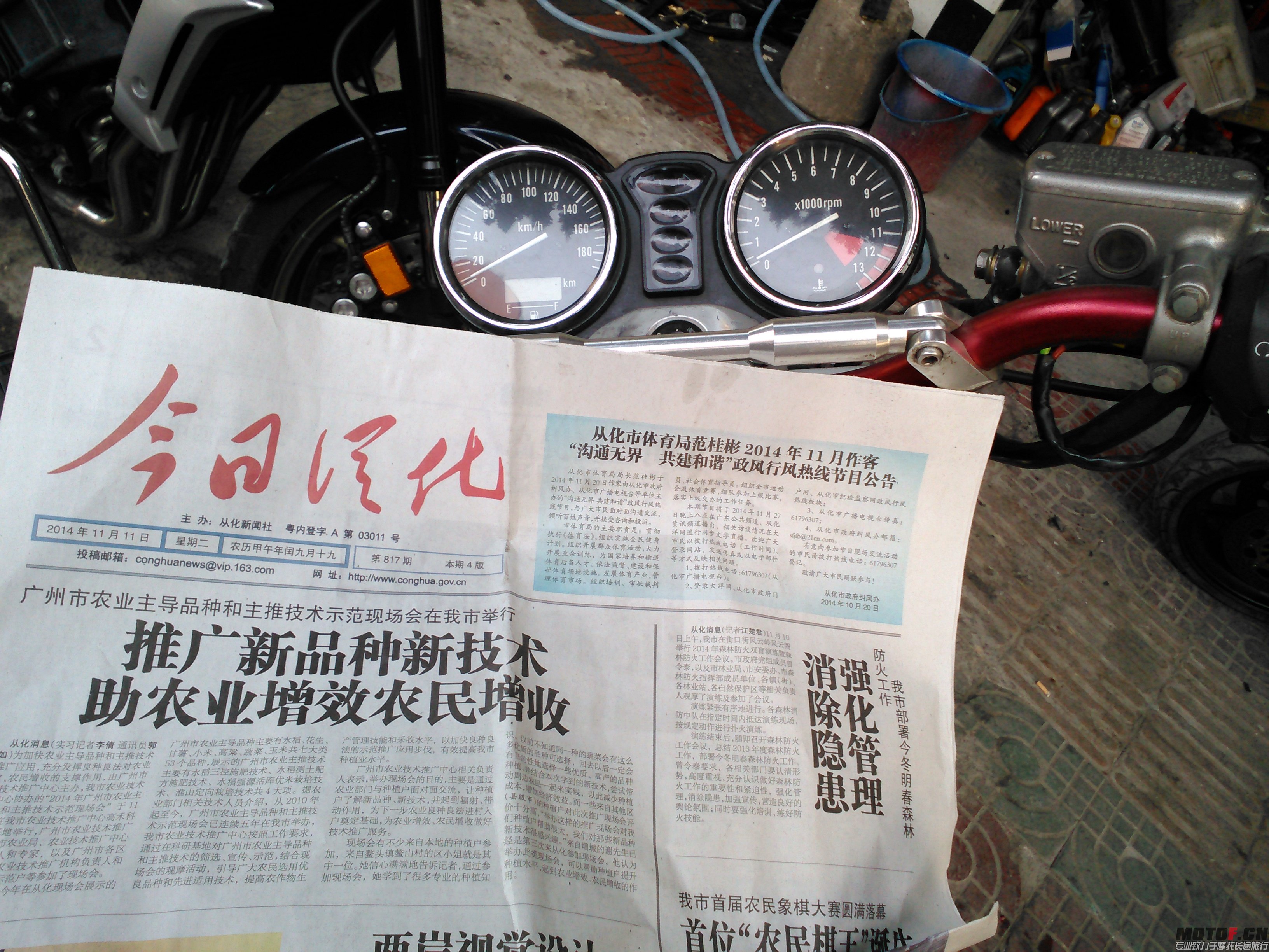 IMG_20141123_164556.jpg