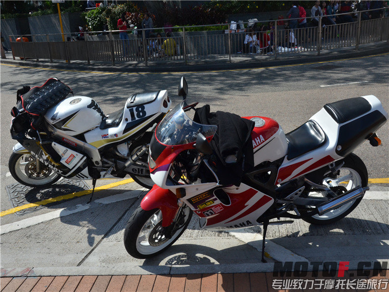 DSC_3036.jpg