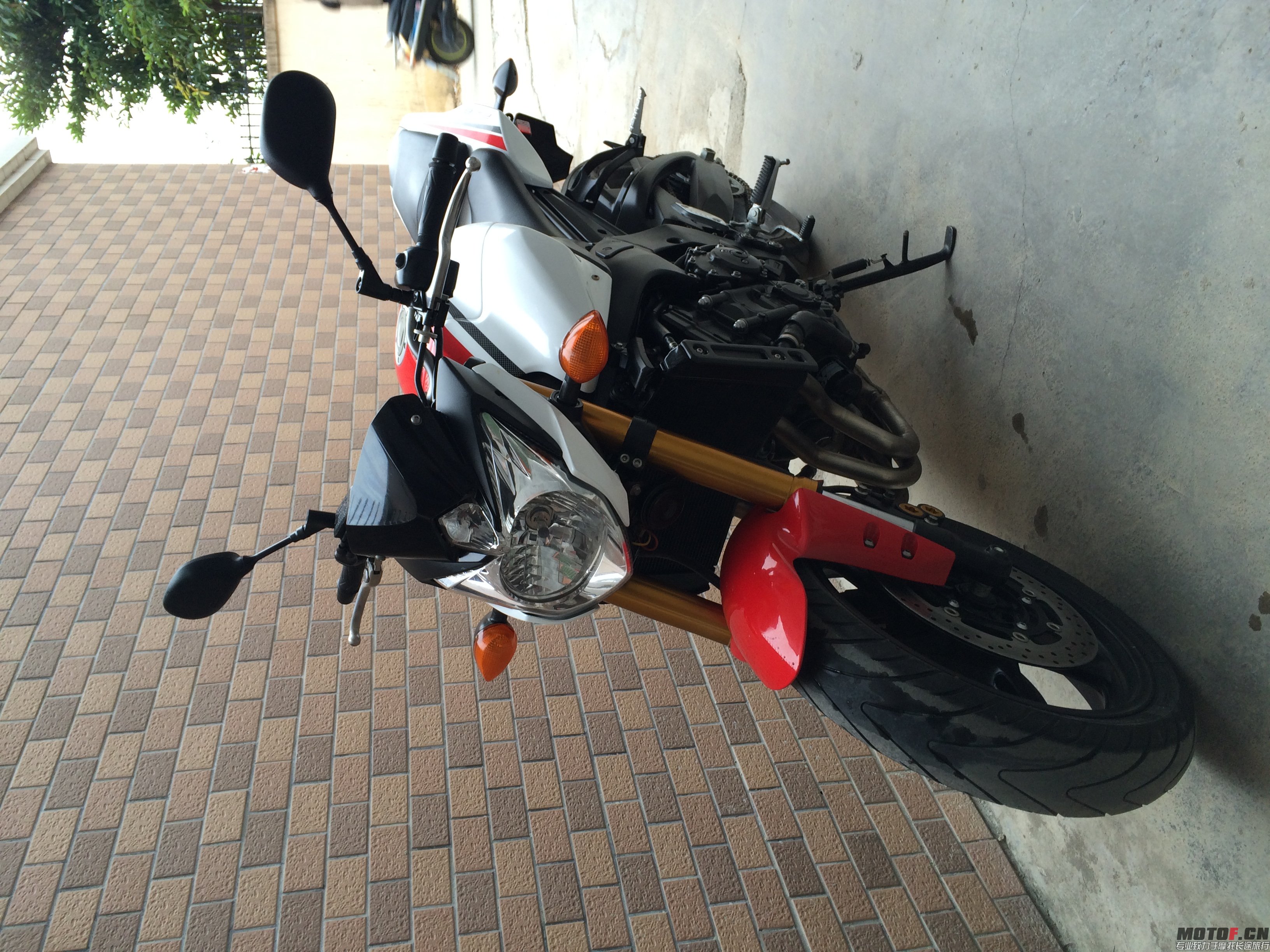 复件 (2) IMG_9777.JPG