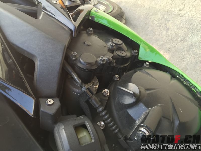 mmexport1417075009138.jpg