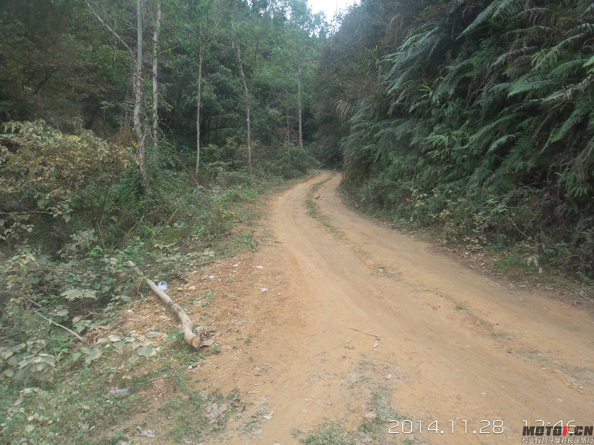 20141128_124610.jpg