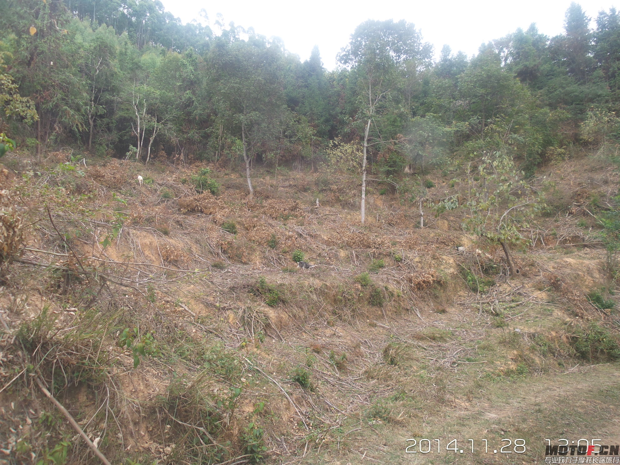 20141128_130531.jpg
