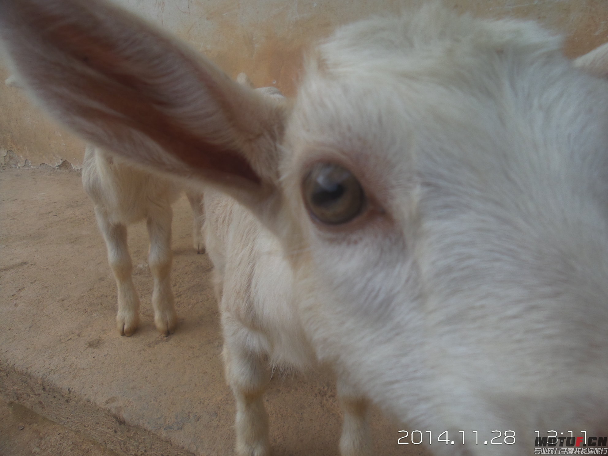 20141128_131150.jpg