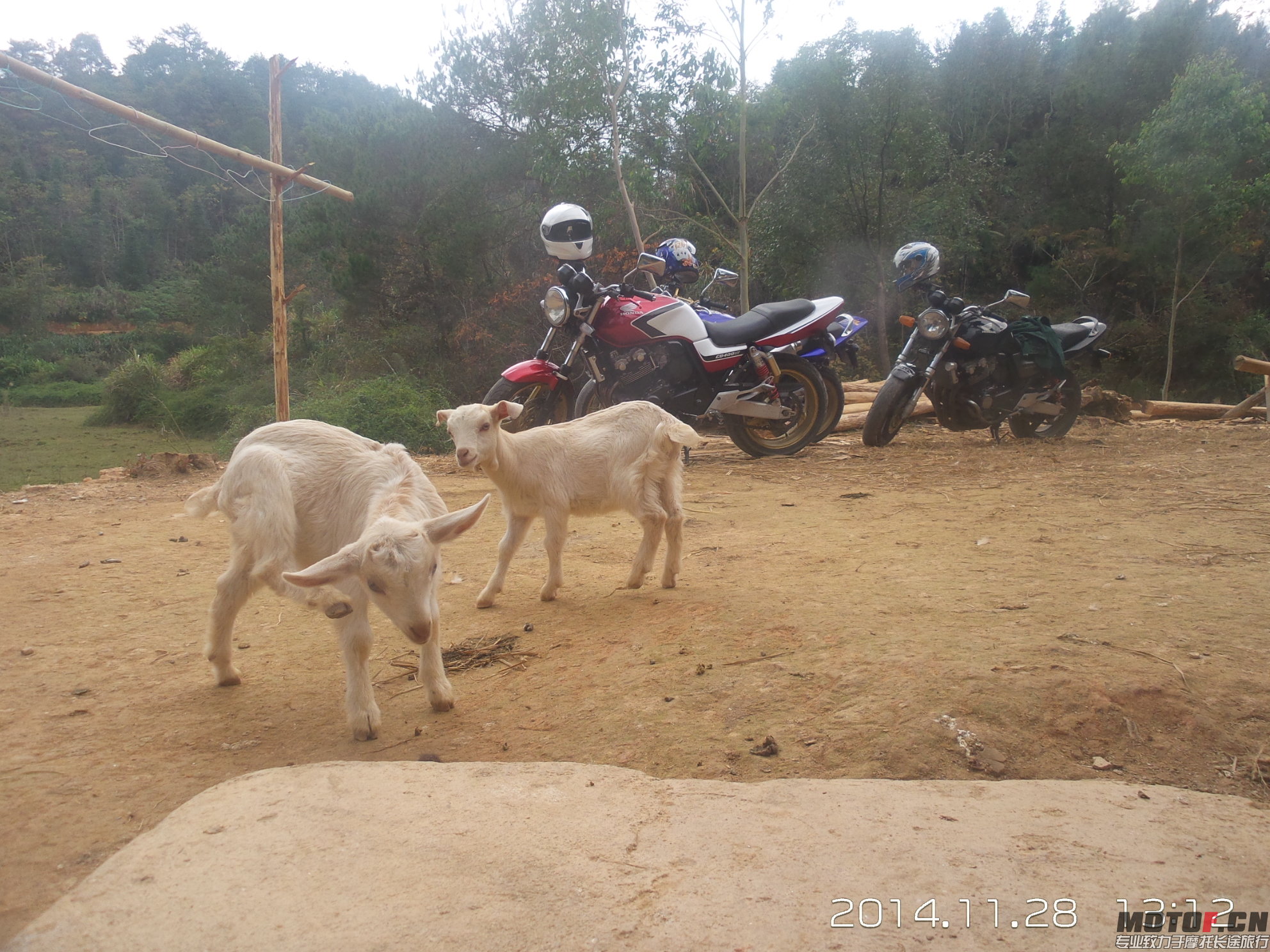 20141128_131257.jpg