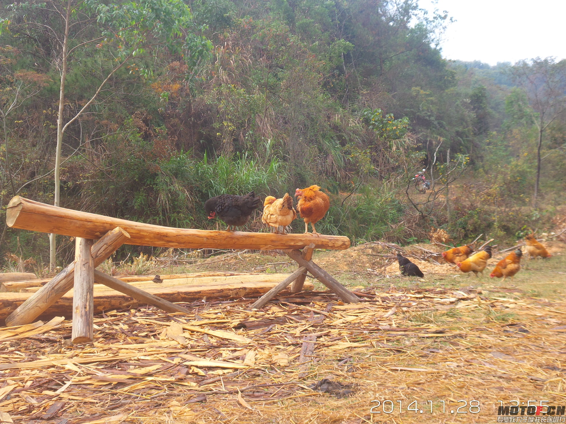 20141128_135558.jpg