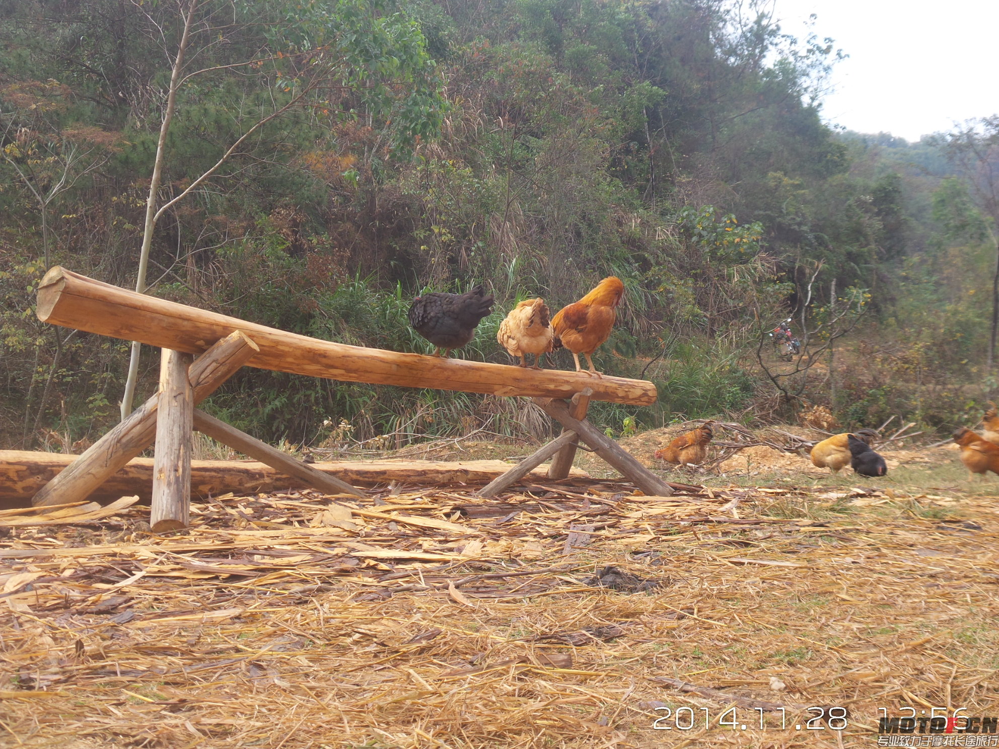 20141128_135619.jpg