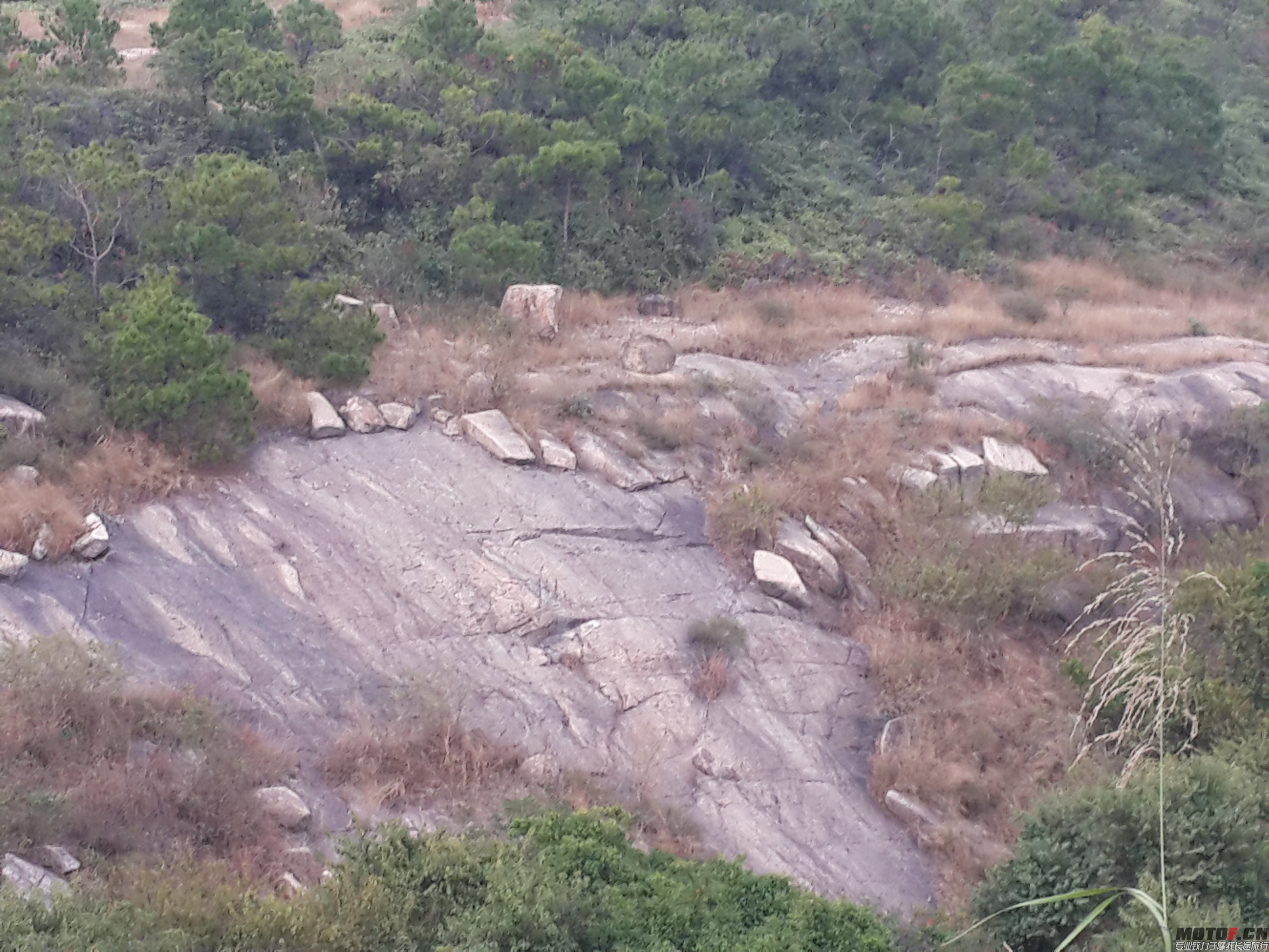 20141129_164339.jpg
